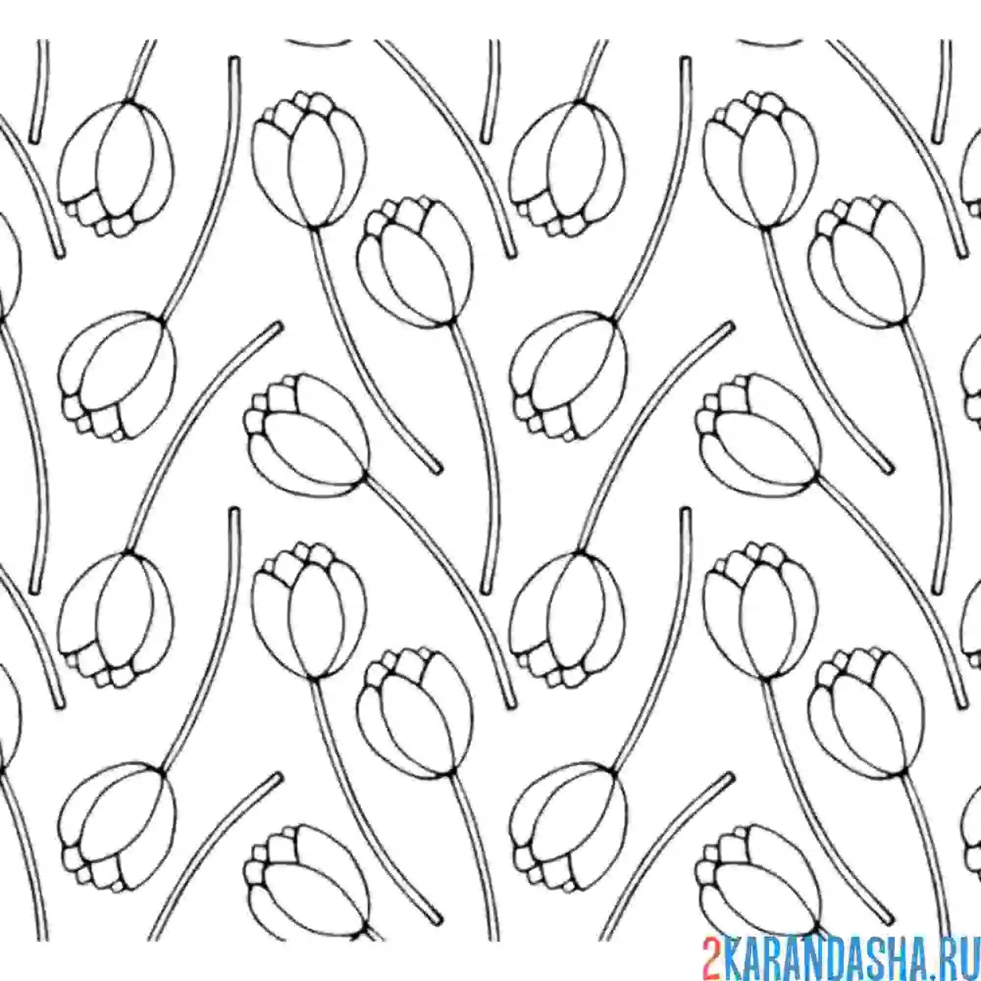 Раскраска фон из цветов тюльпанов