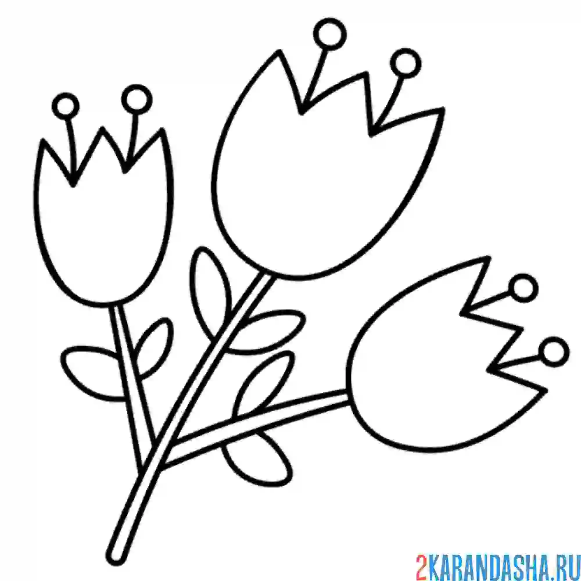 Раскраска тюльпаны-колокольчики