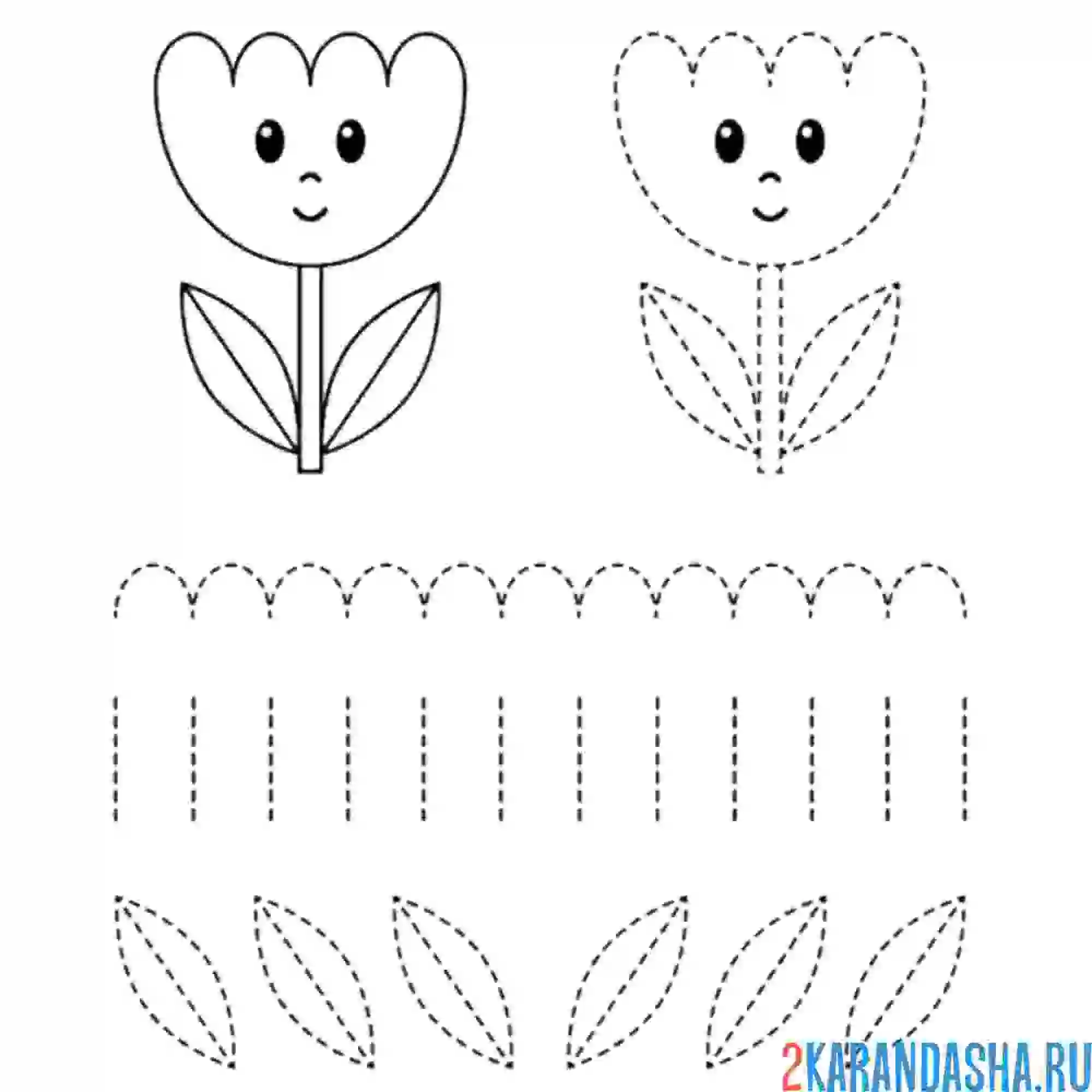 Раскраска обведи тюльпан