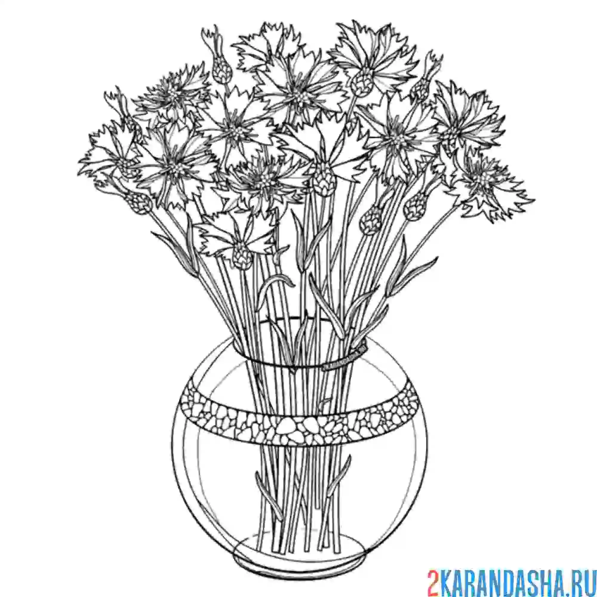 Раскраска букет васильков в вазе