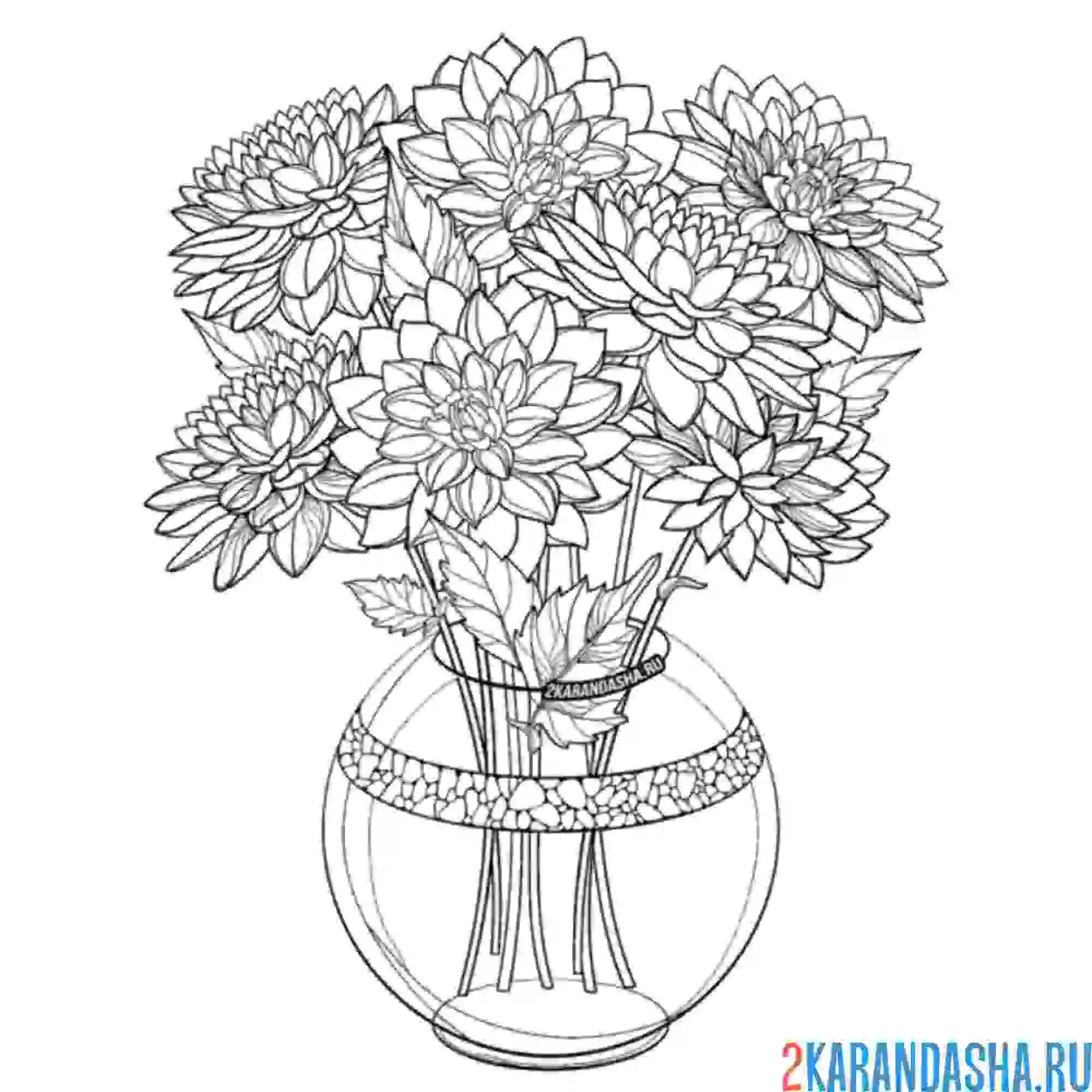 Раскраска букет хризантем в вазе