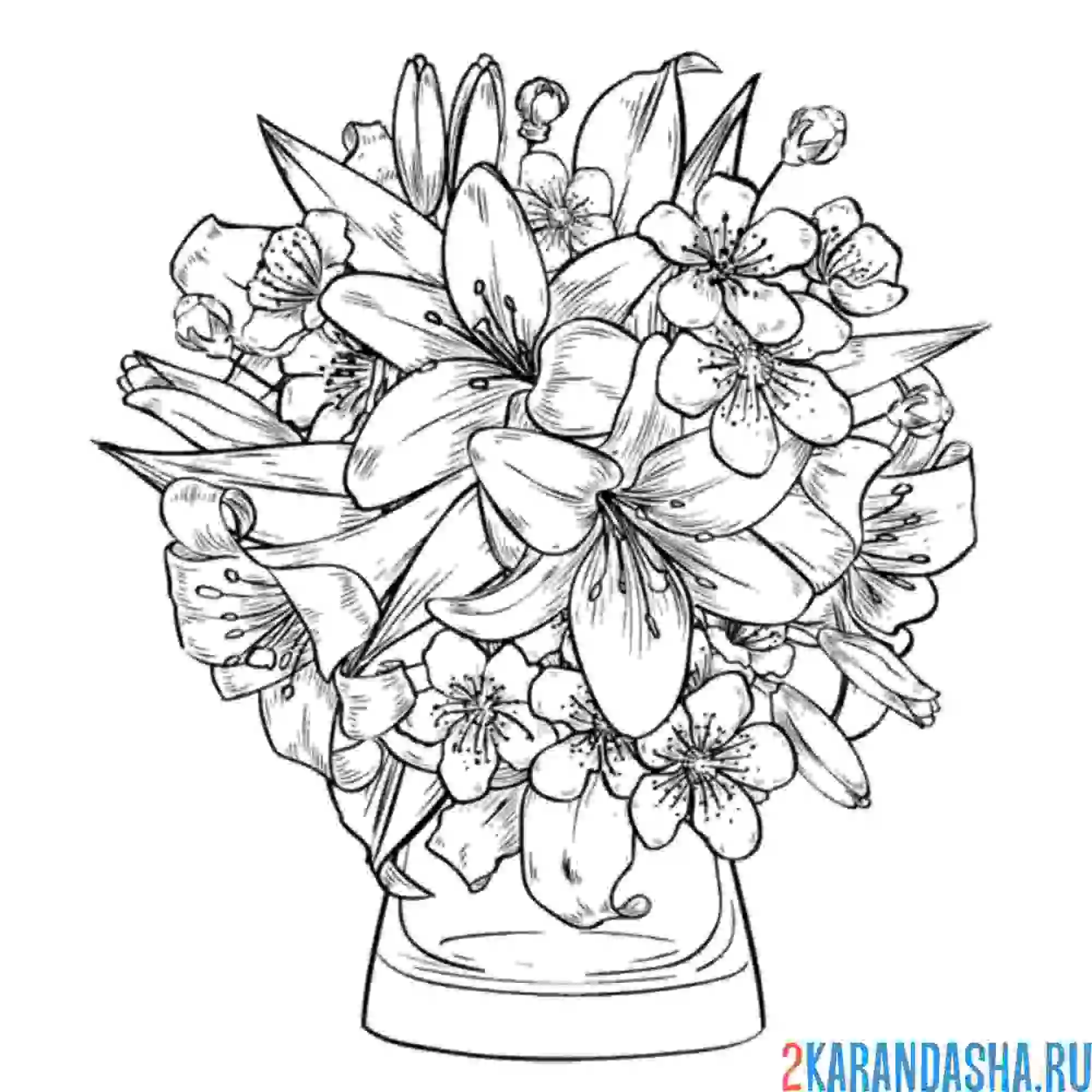 Раскраска лилии в букете