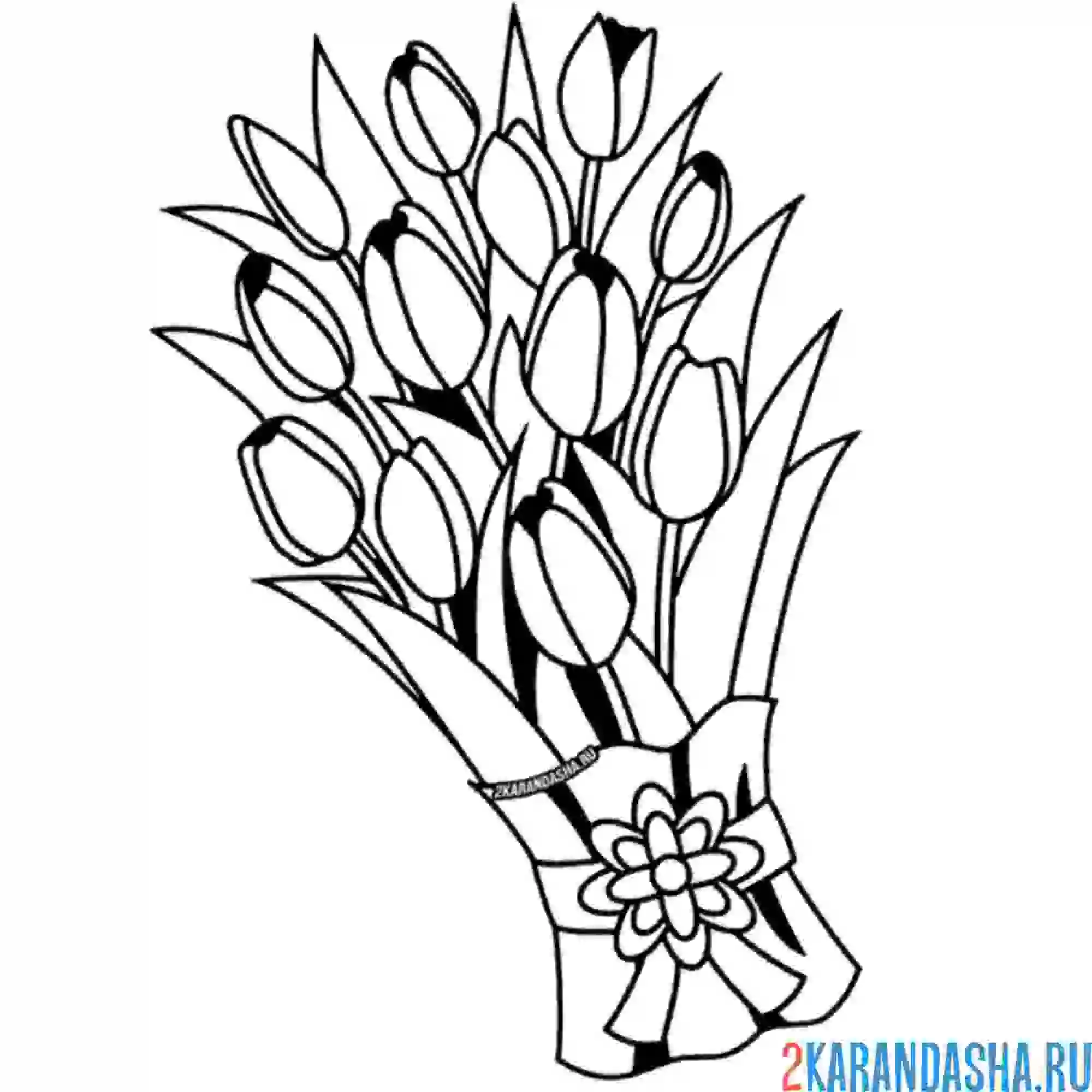 Раскраска тюльпаны в упаковке