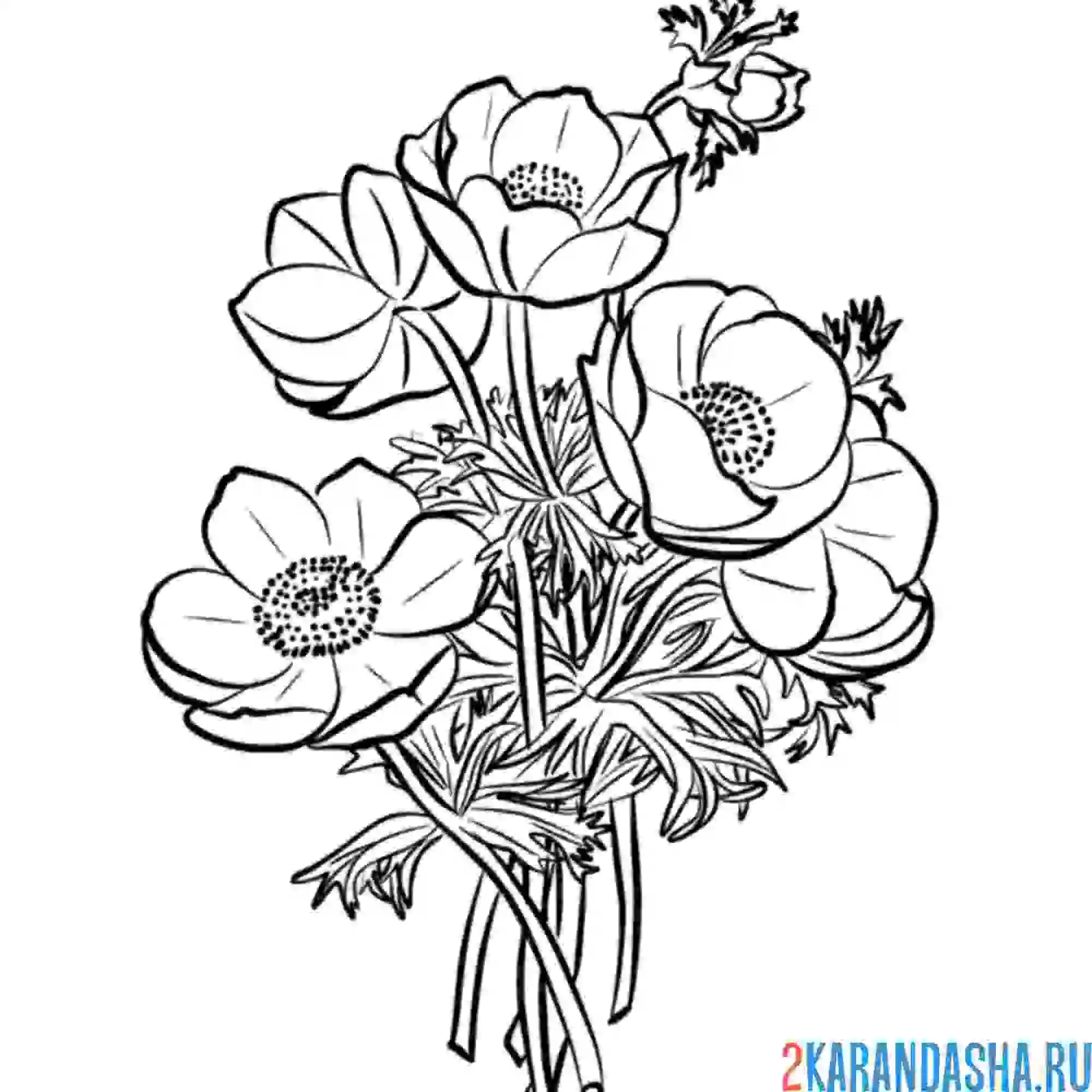 Раскраска нежный букетик