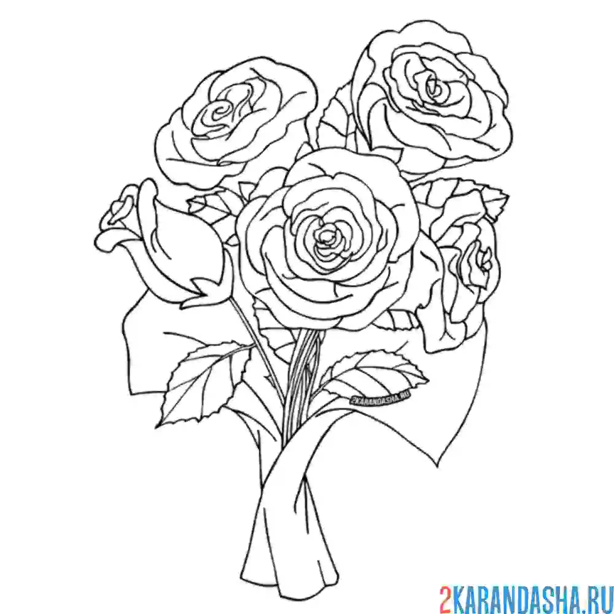 Раскраска розы для самых близких