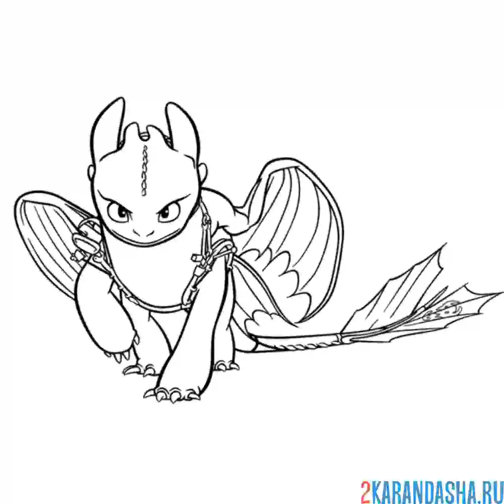 Раскраска серьезный беззубик