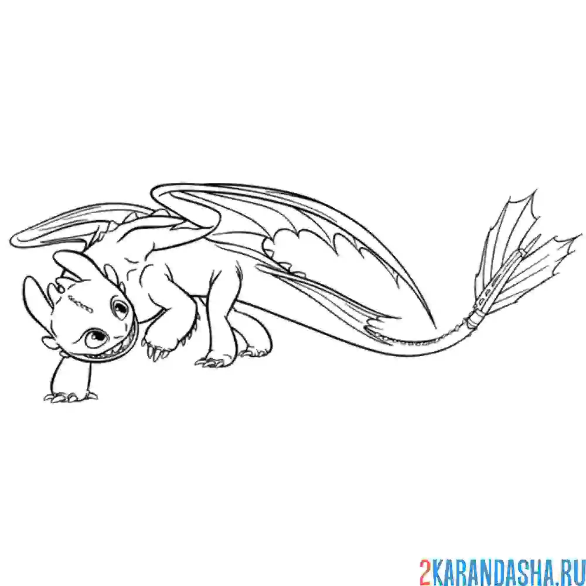 Раскраска беззубик осматривается