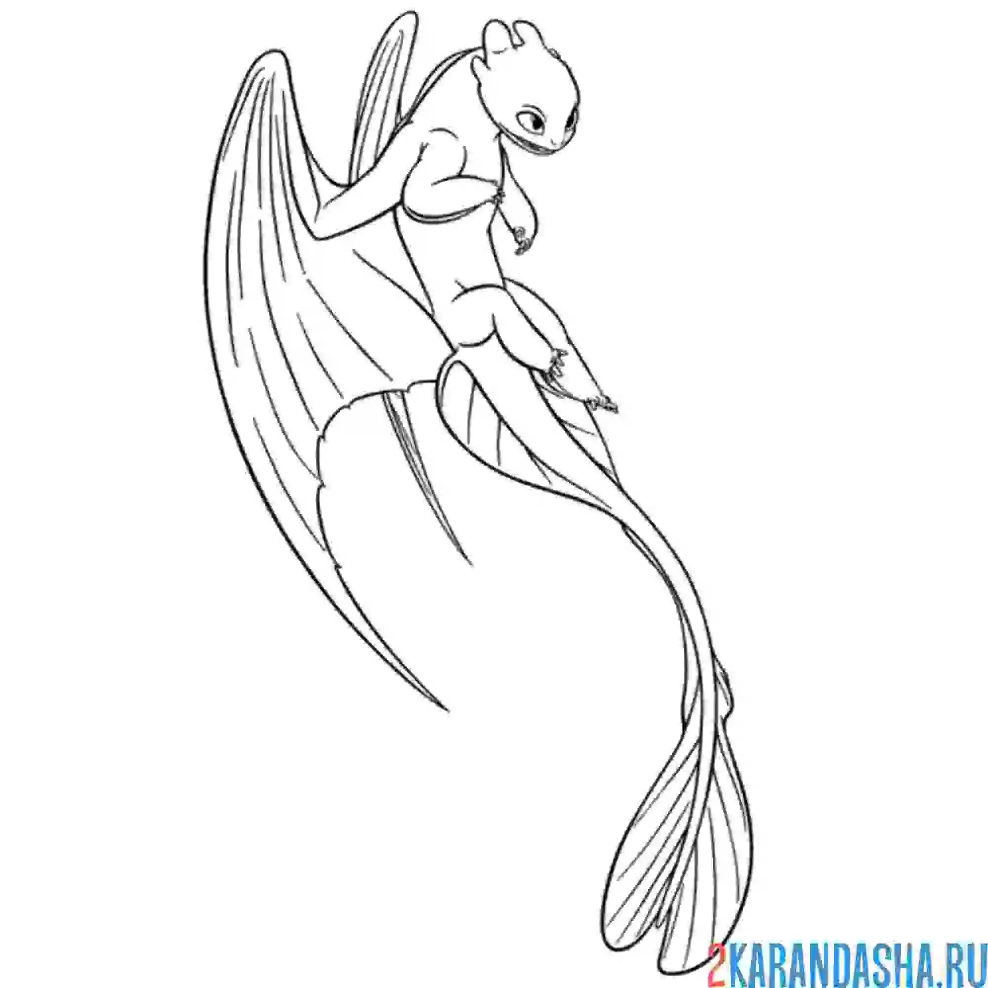 Раскраска дневная фурия