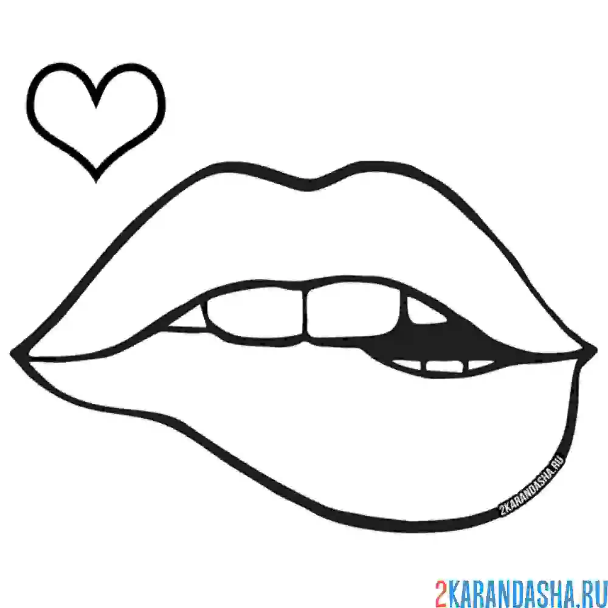 Раскраска губки с сердечком