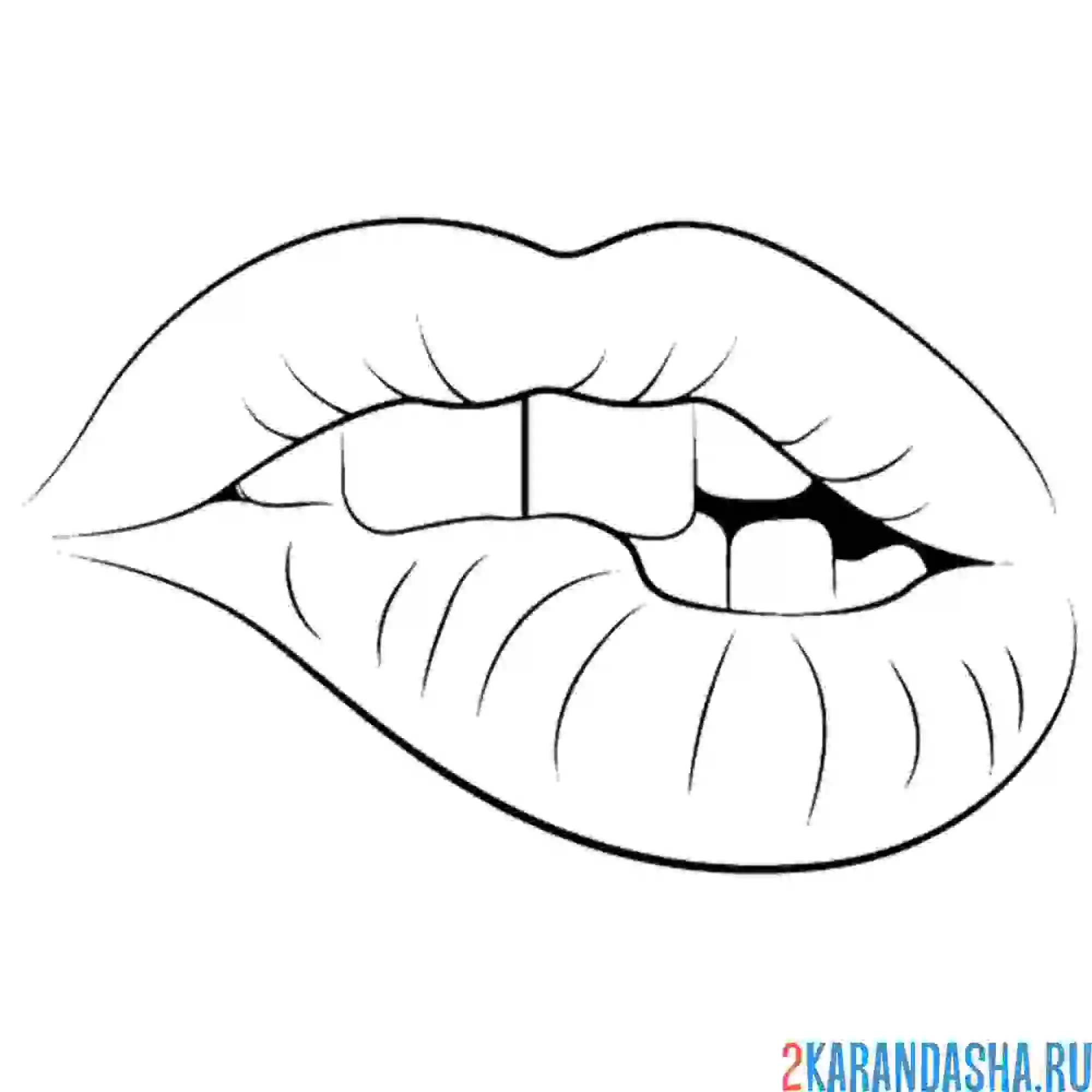 Раскраска закусанная губа