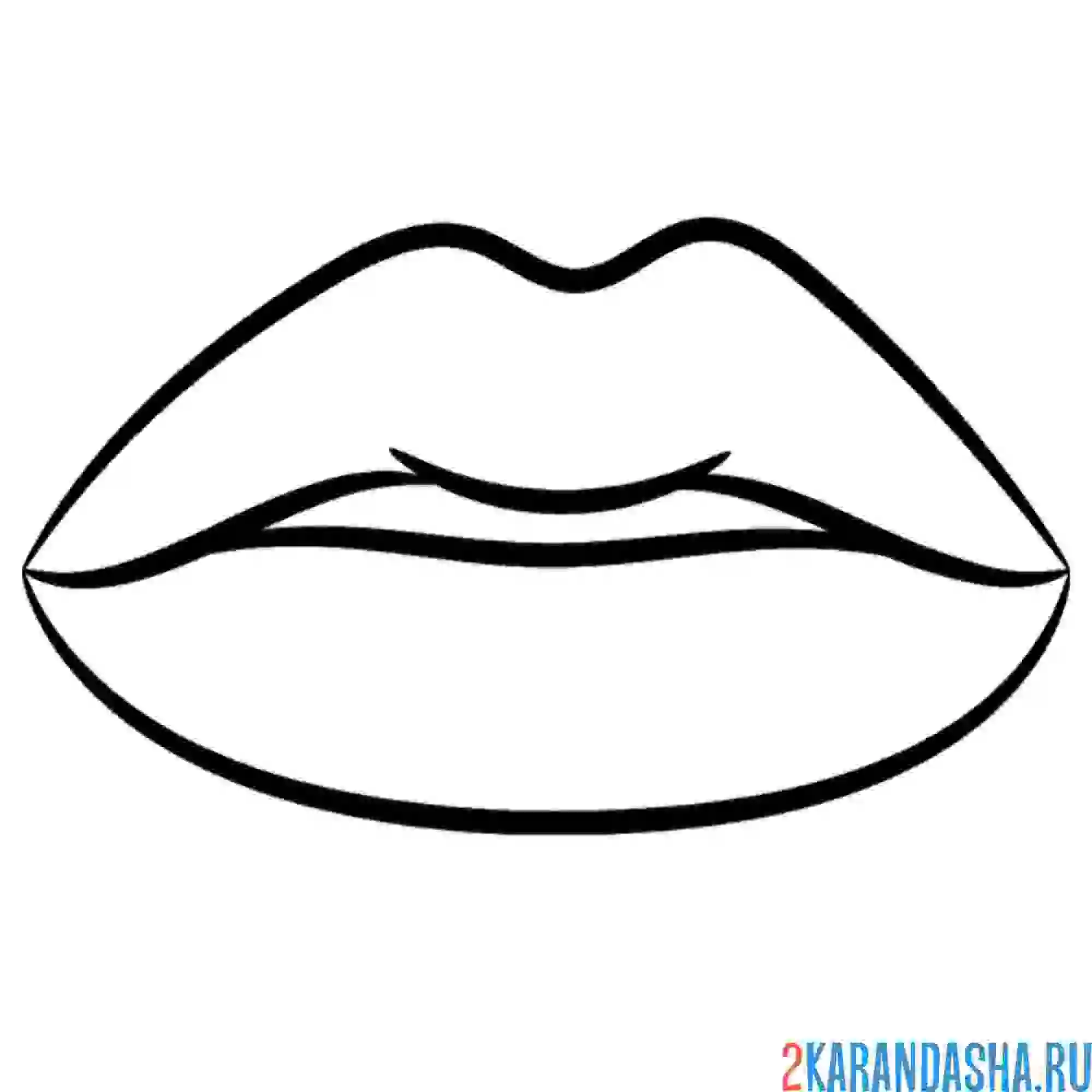 Раскраска пухлые губки