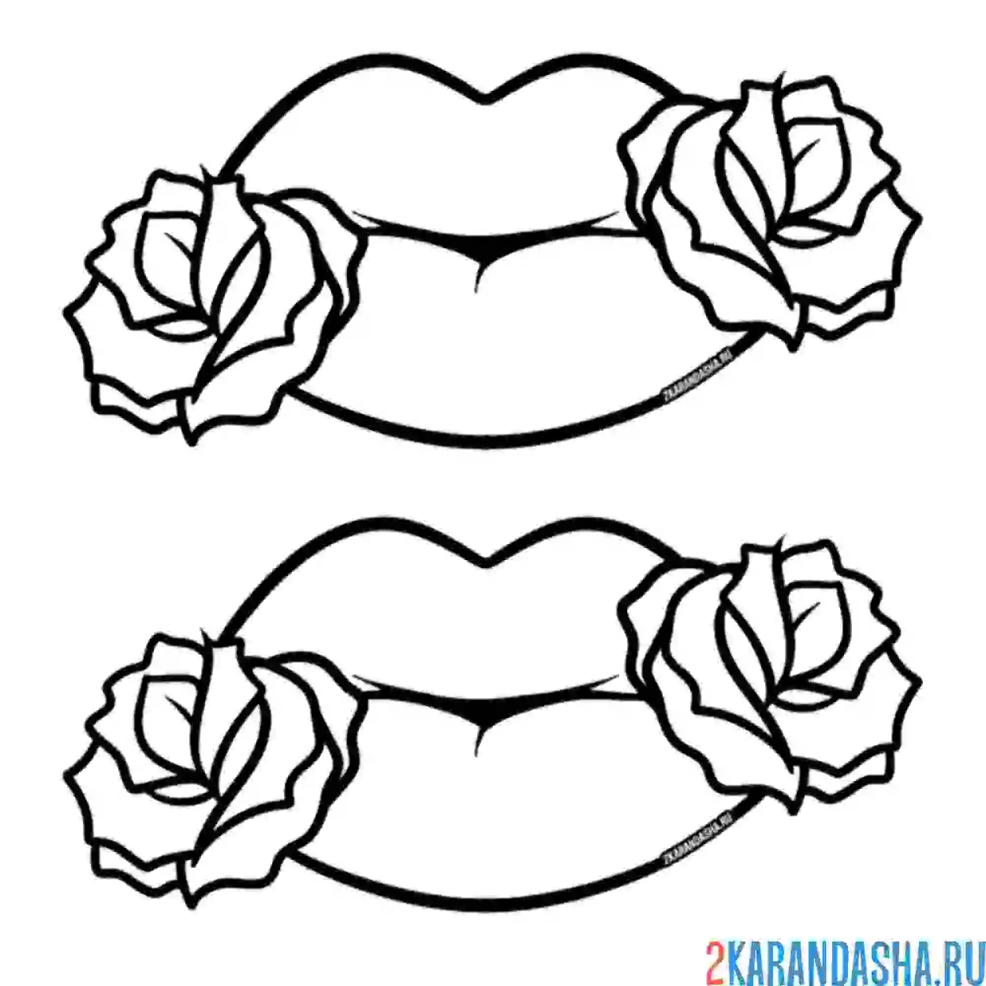 Раскраска розы и губы