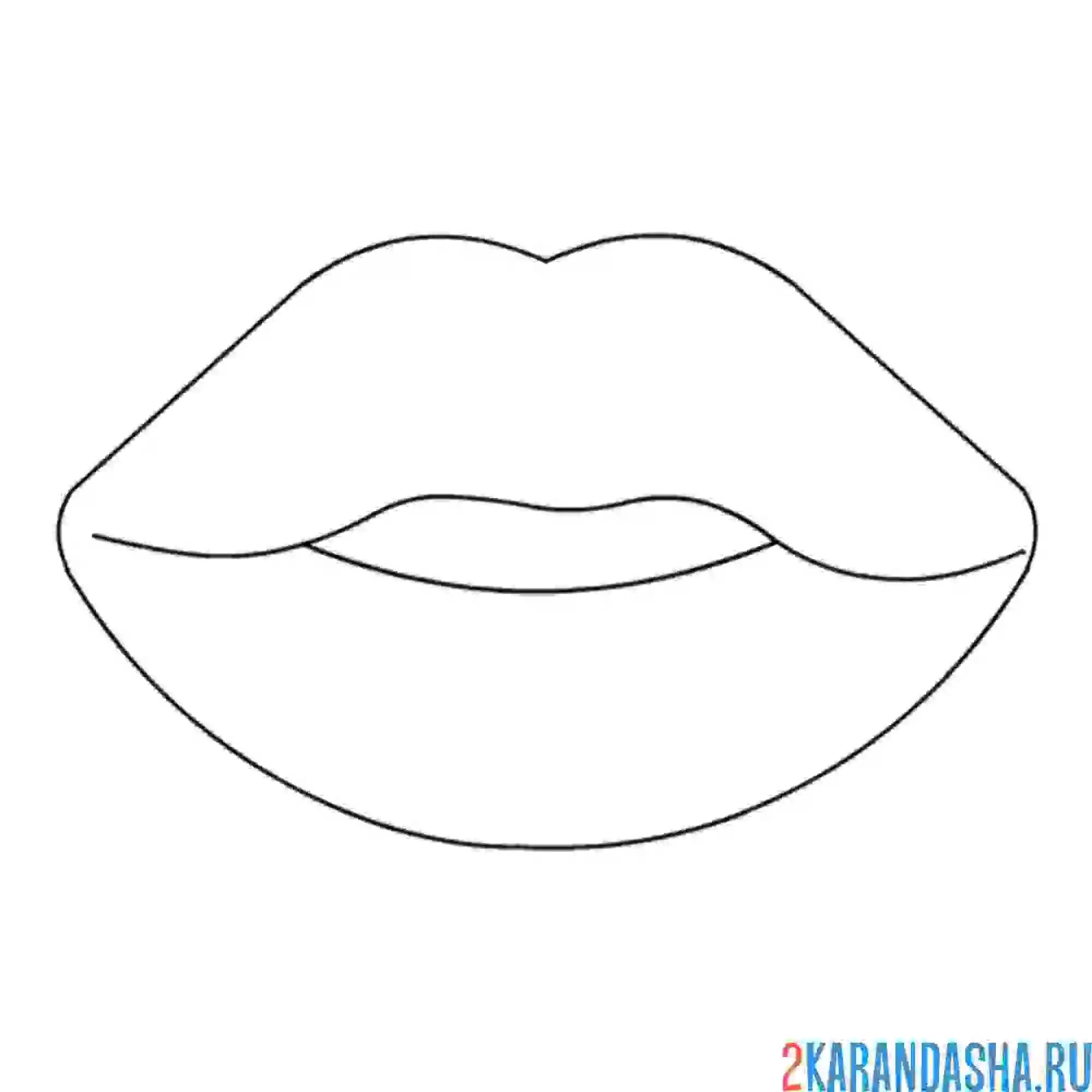 Раскраска губки модель