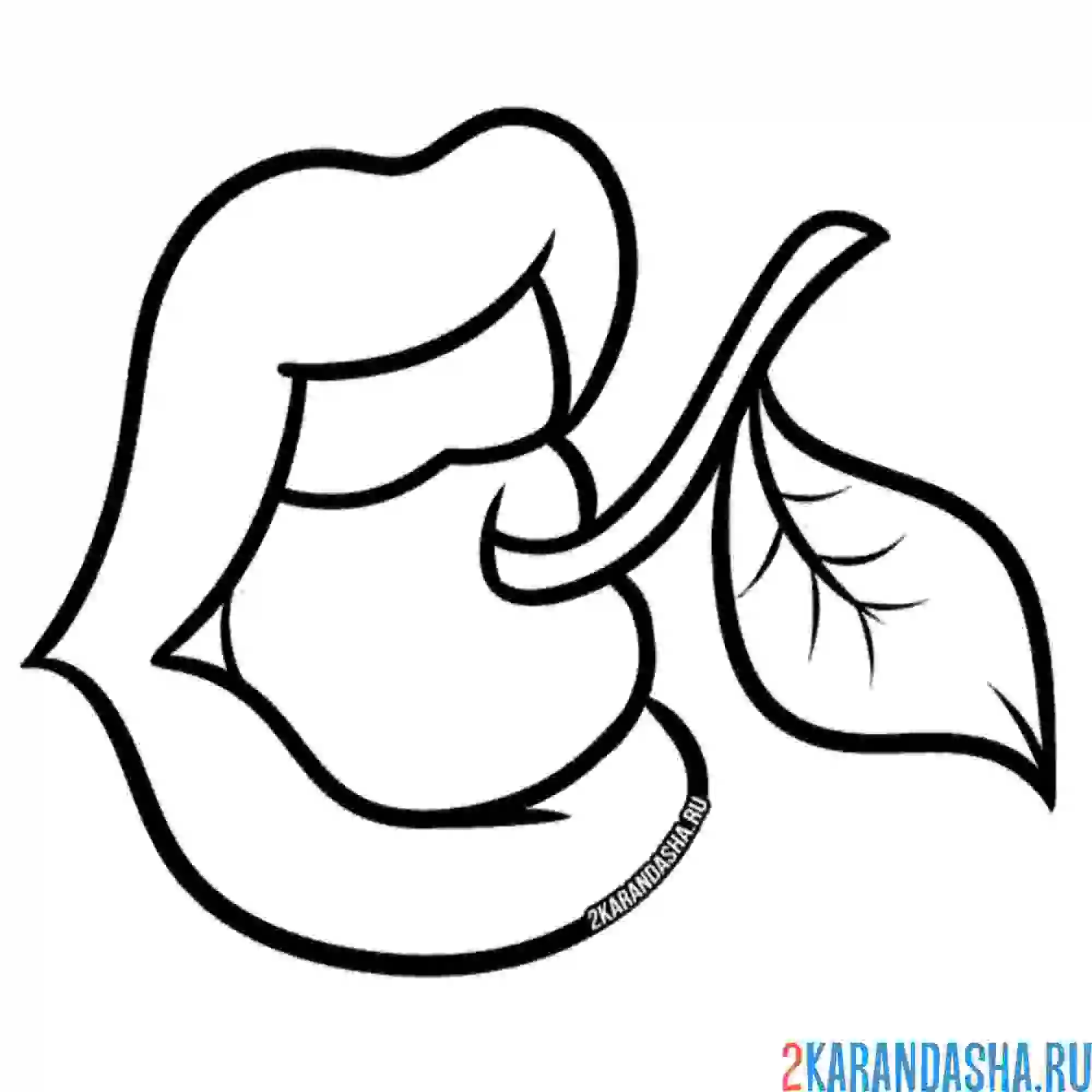 Раскраска вишня и губы