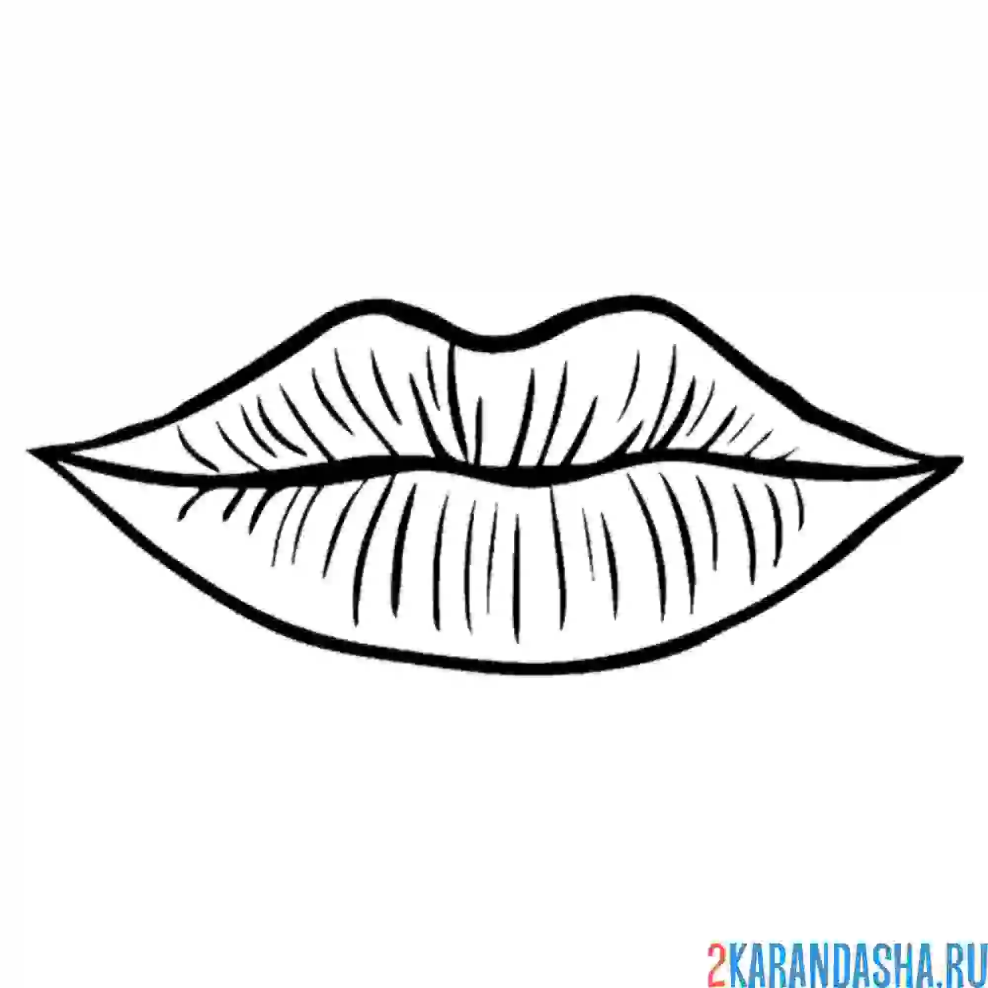 Раскраска простые губы