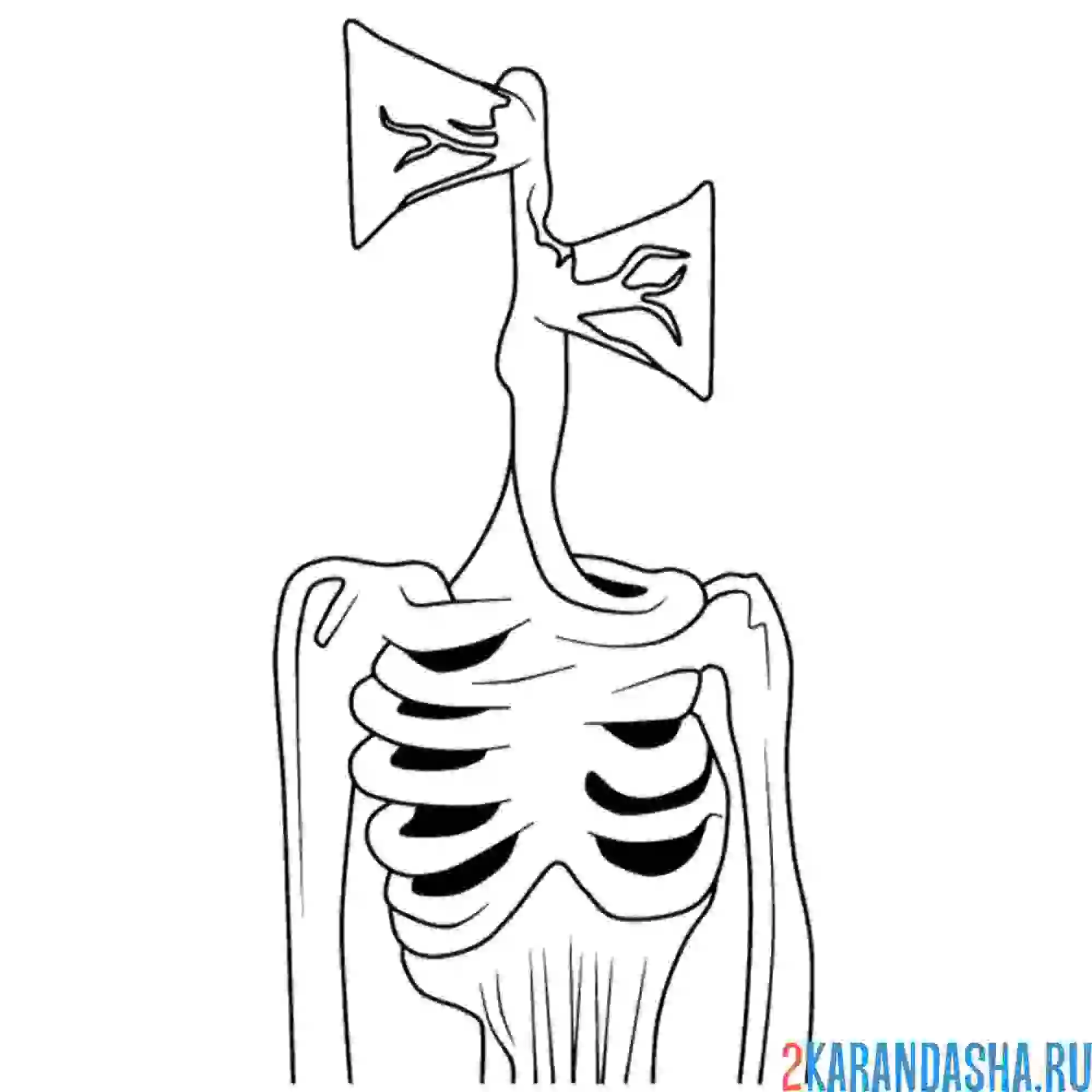 Раскраска сиреноголовый вены