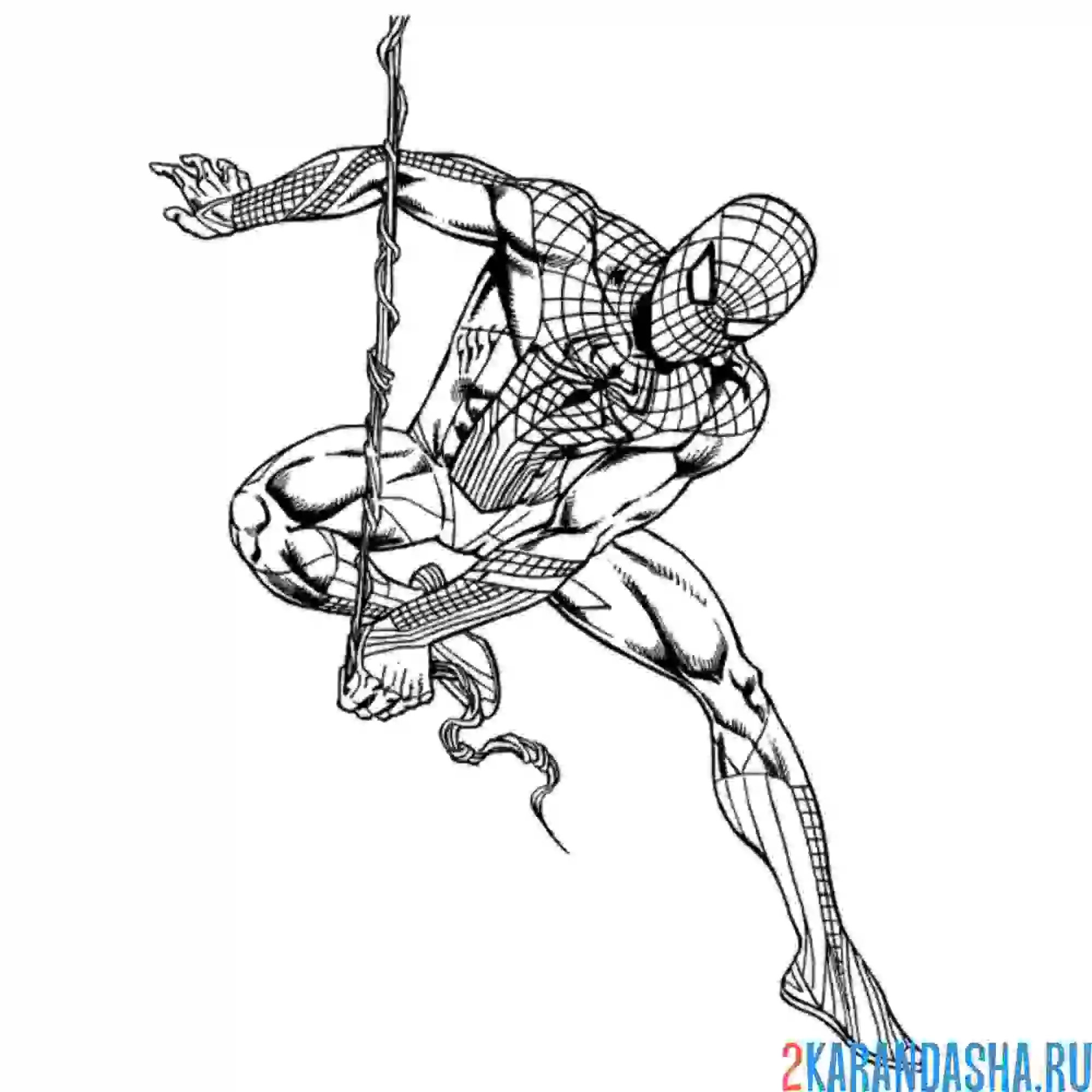 Раскраска марвел человек-паук