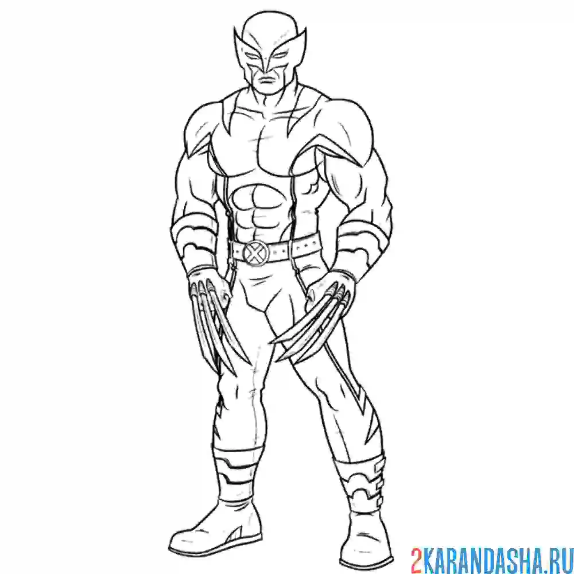 Раскраска росомаха марвел новый