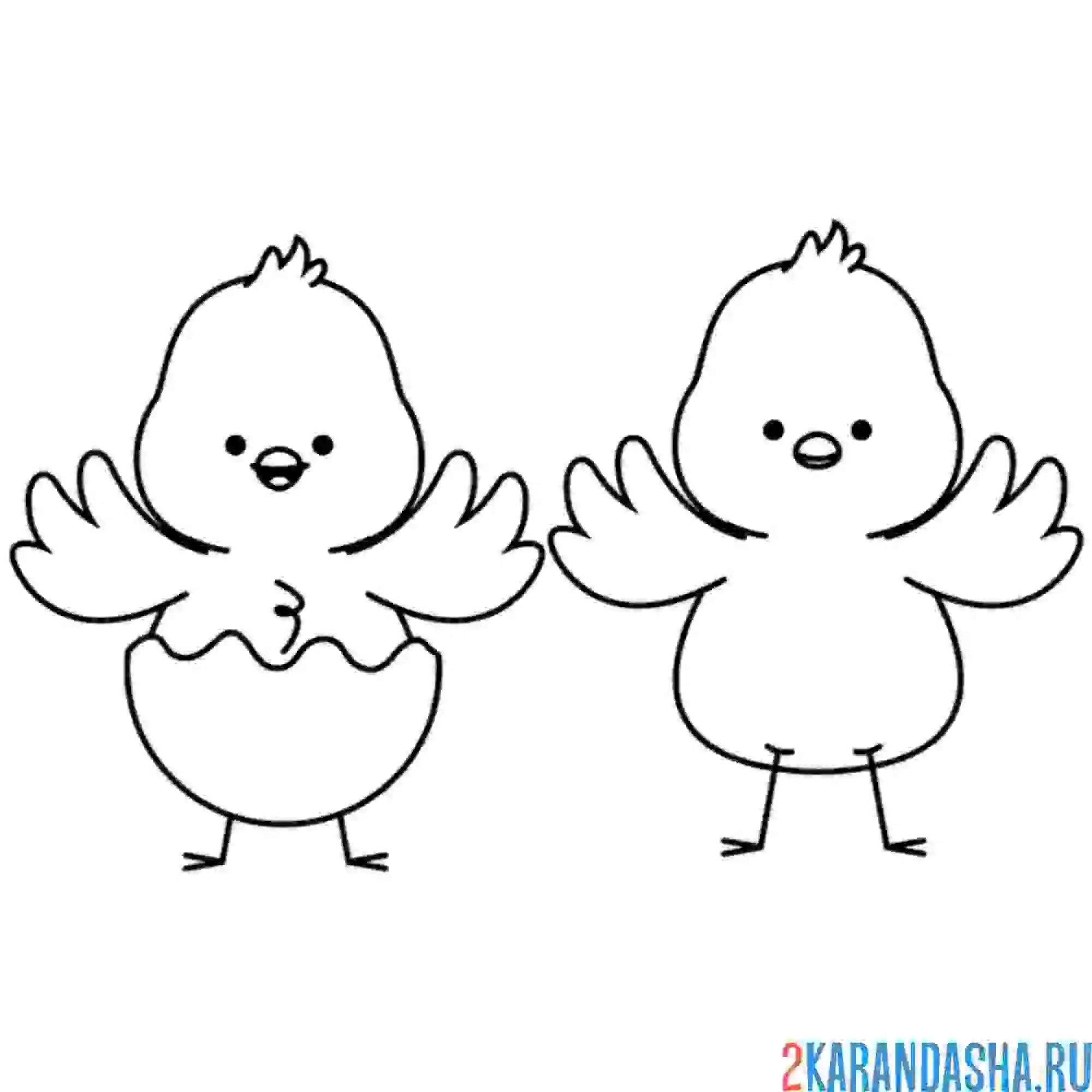 Раскраска два цыпленка гуляют