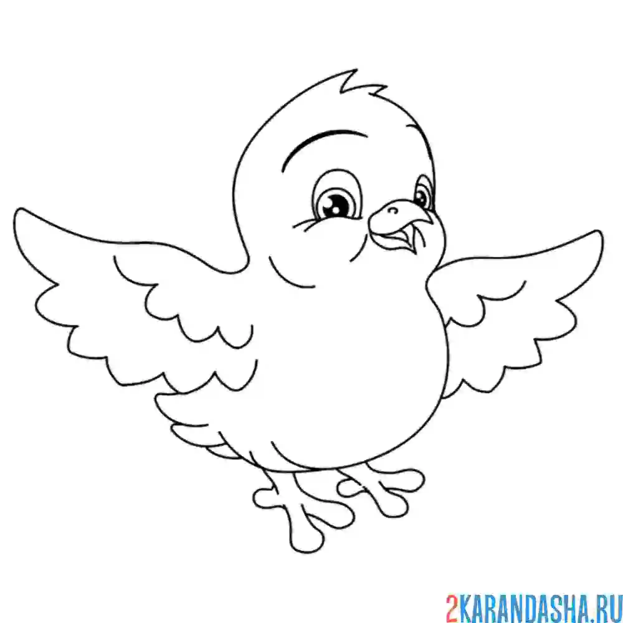 Раскраска птенчик учится летать