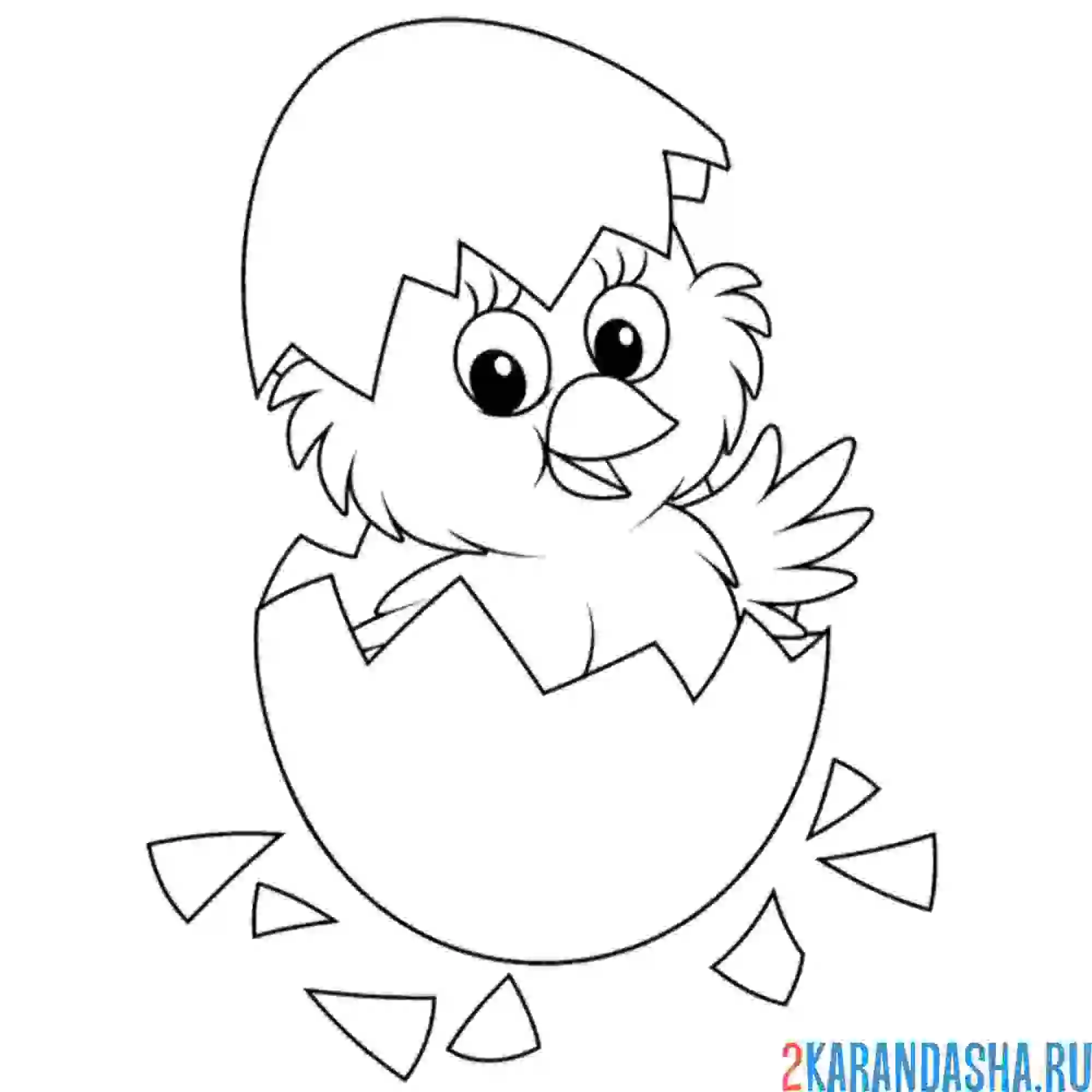 Раскраска смешной цыпленок вылупился