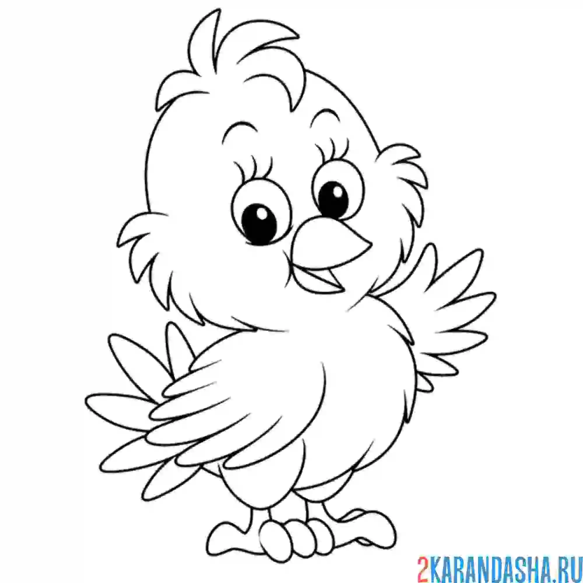 Раскраска цыпленок машет