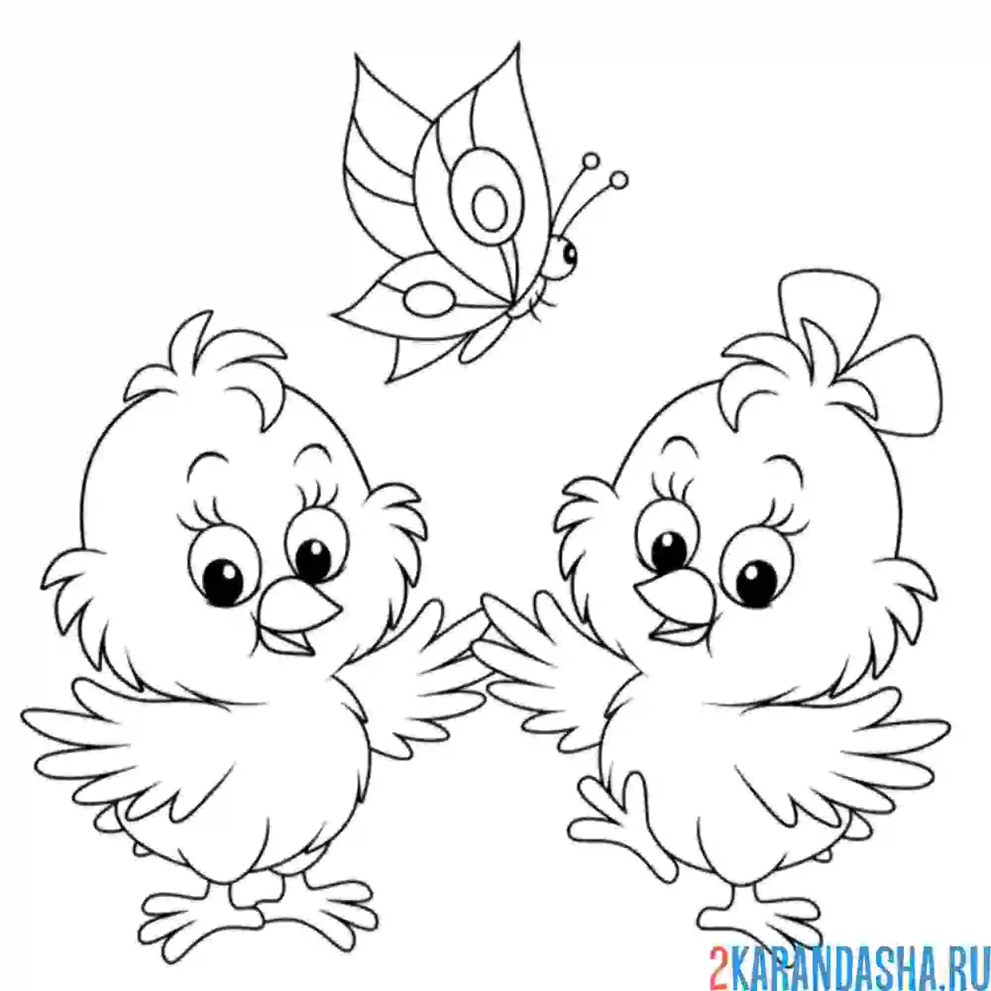 Раскраска цыплята ловят бабочку