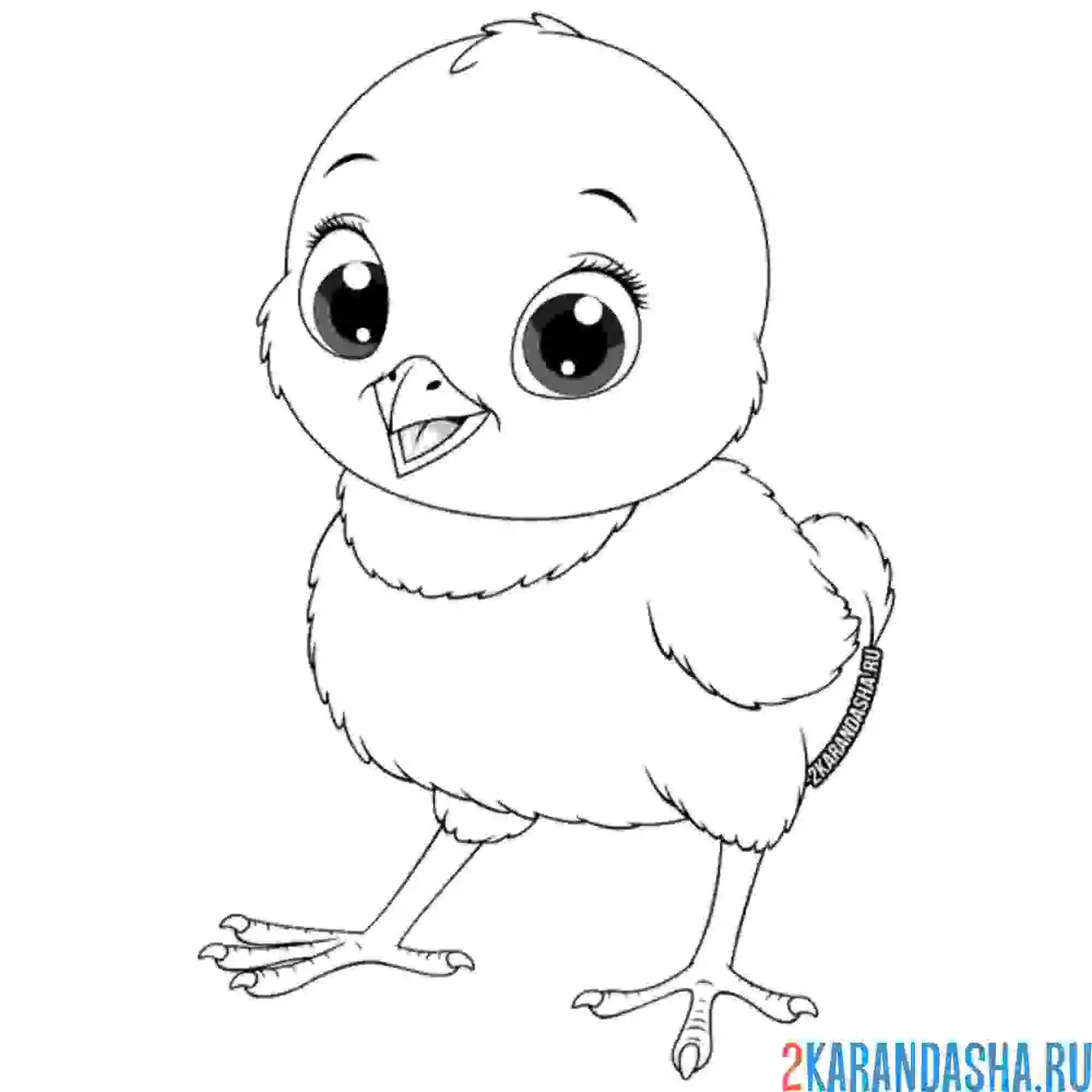 Раскраска милый цыпленок малыш