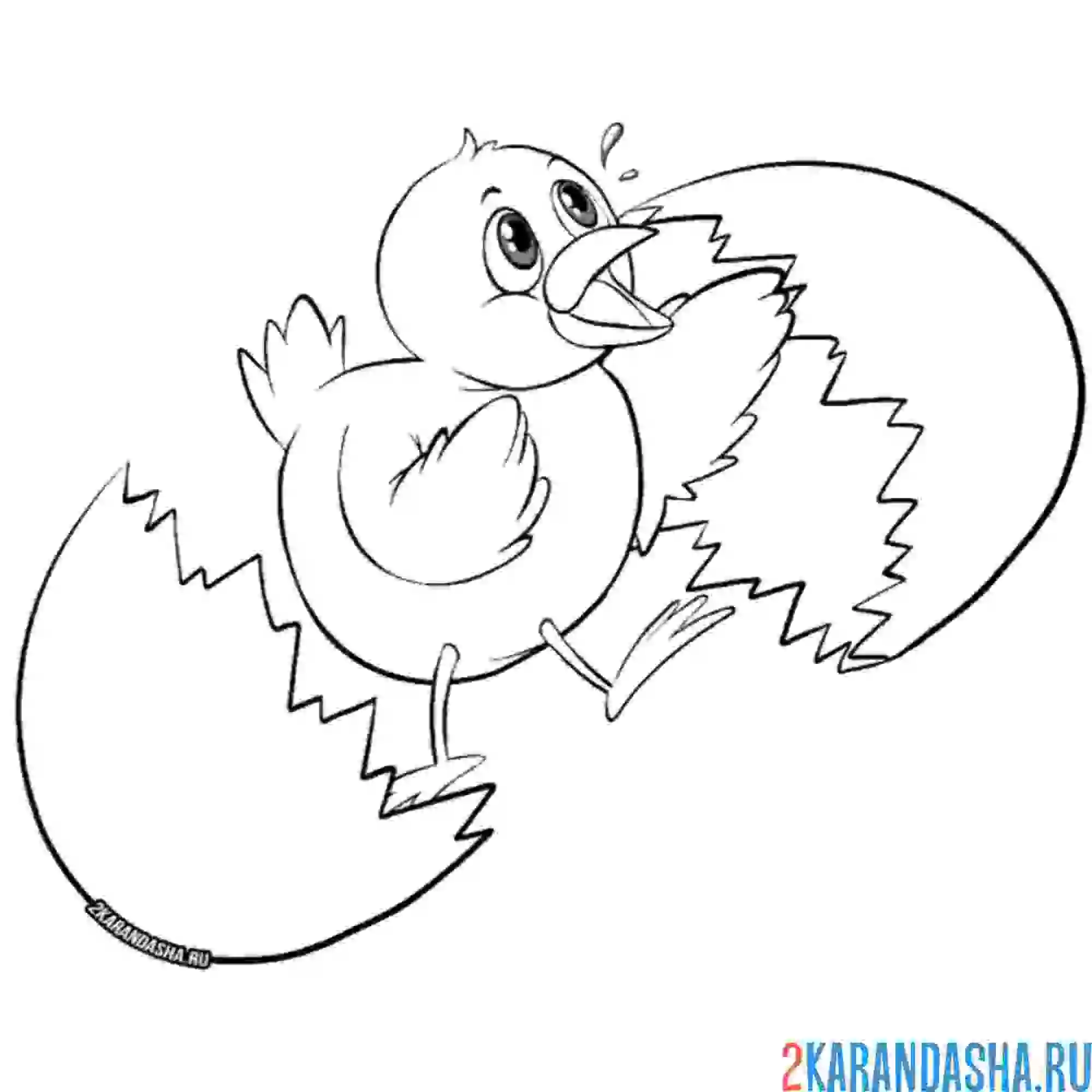Раскраска цыпленок разбил яйцо