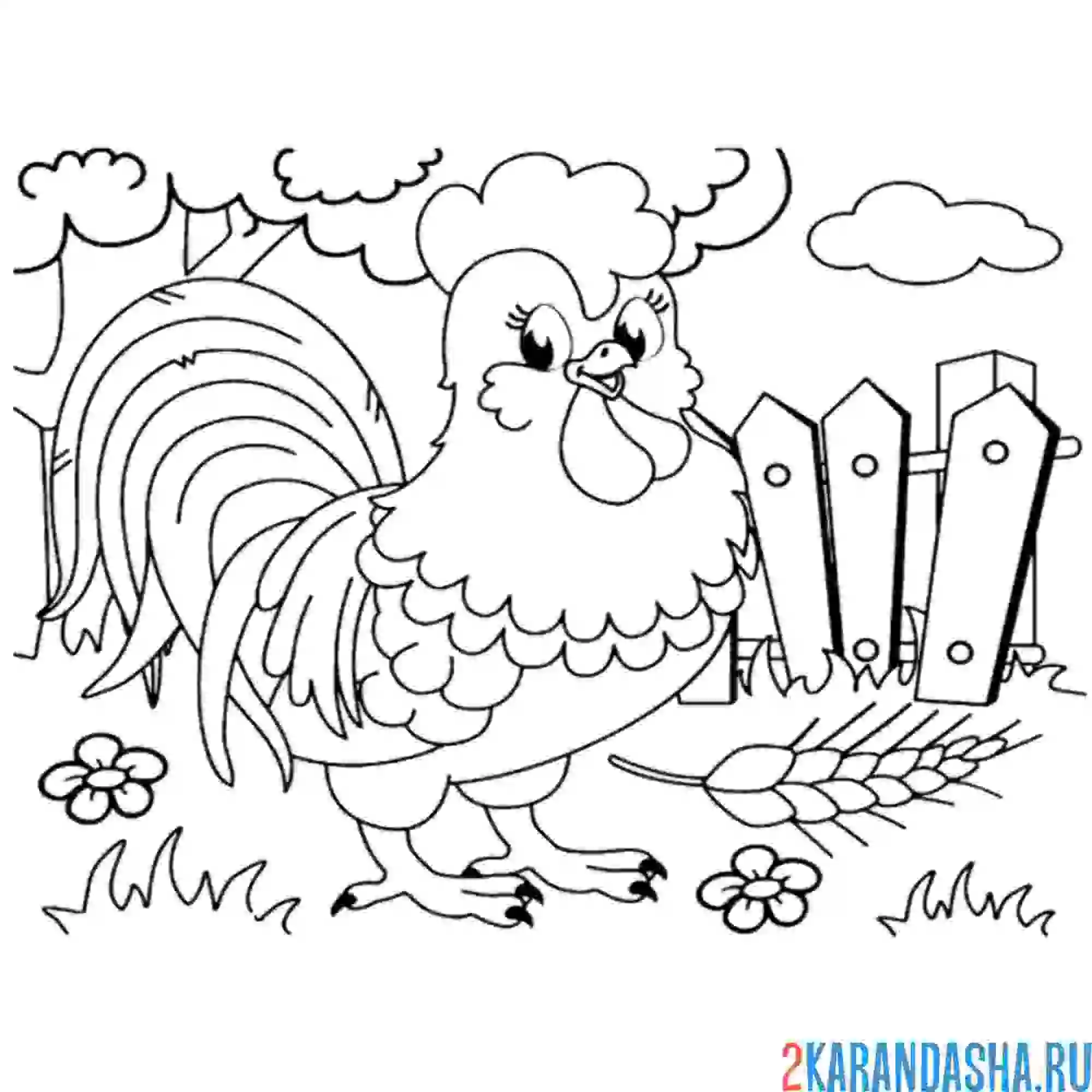 Раскраска петух у забора