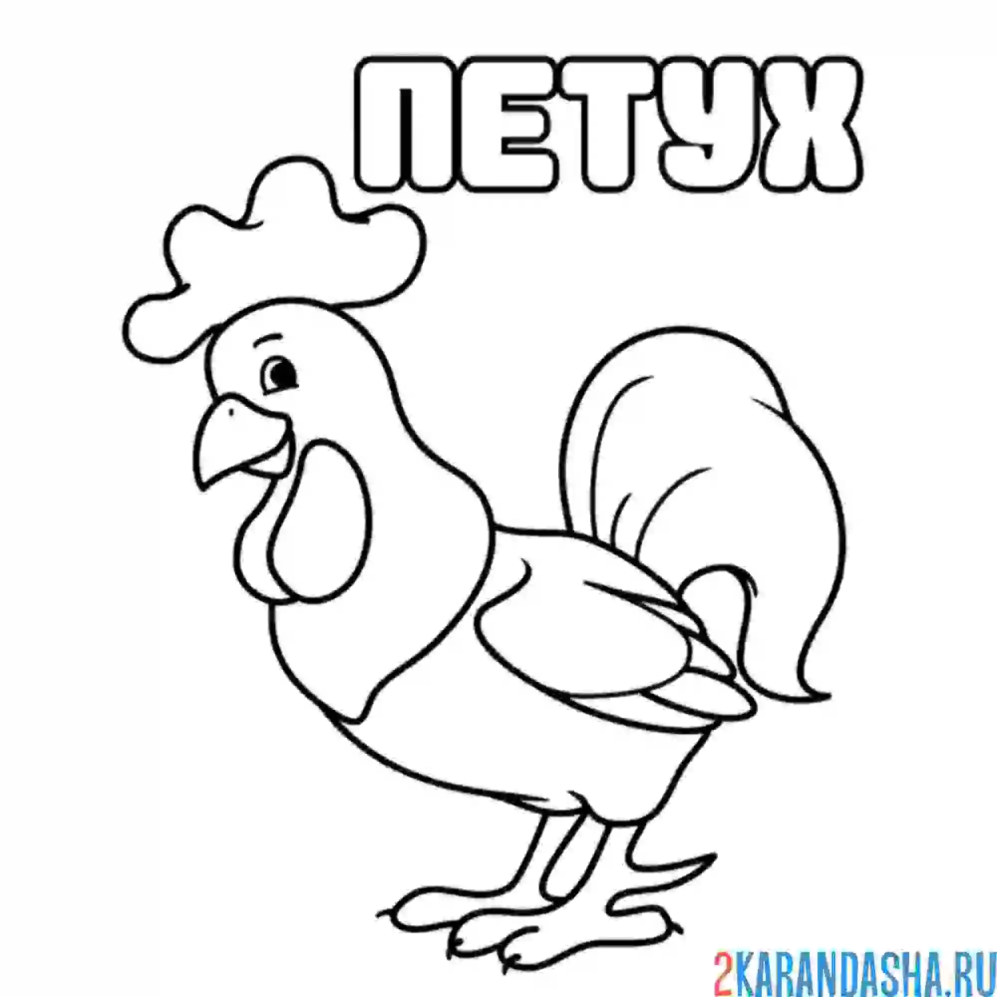Раскраска слово петух