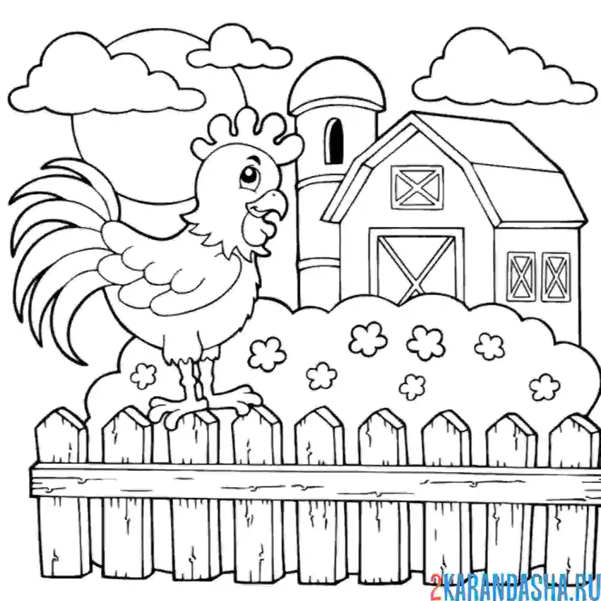 Раскраска петух на ферме