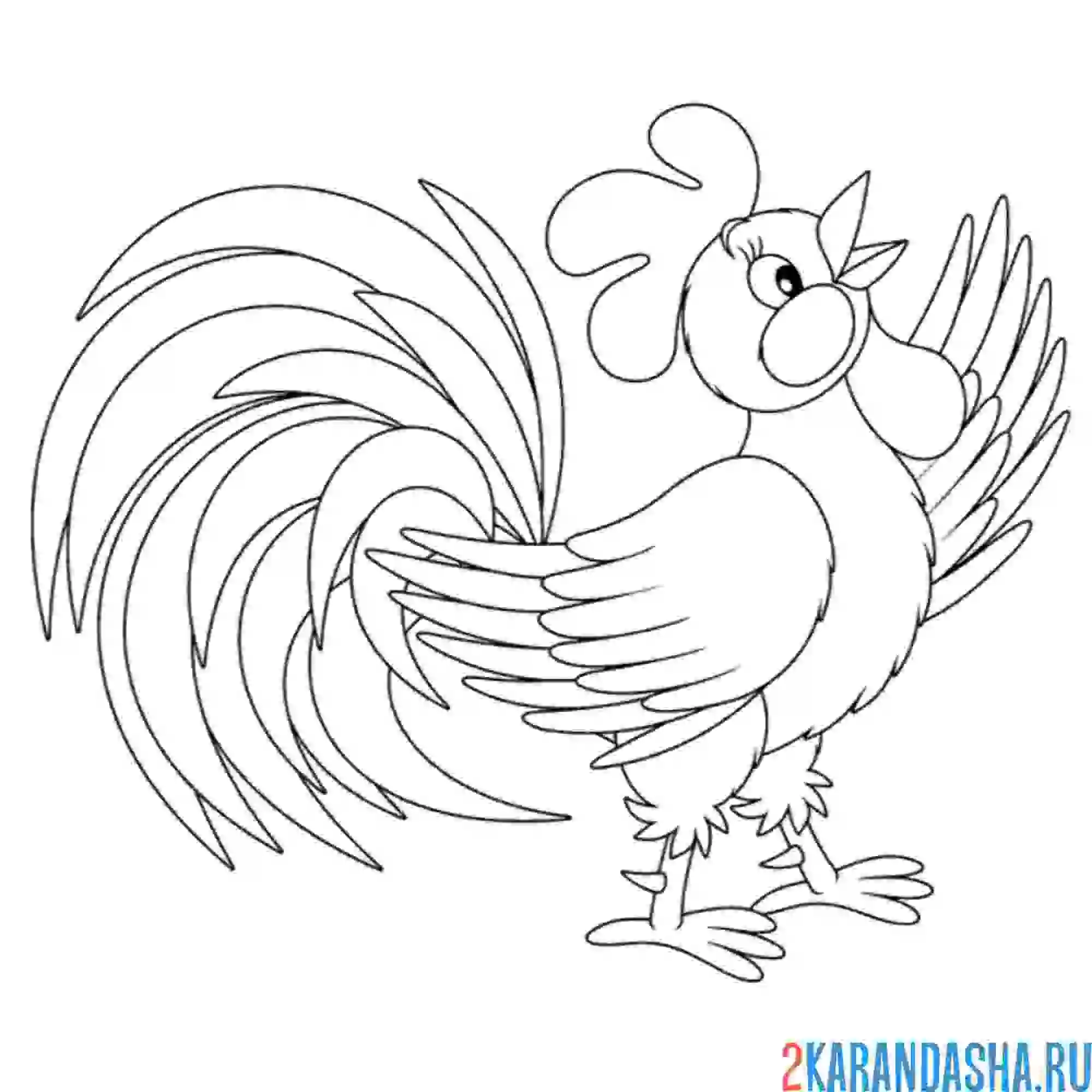 Раскраска петух кукарекает