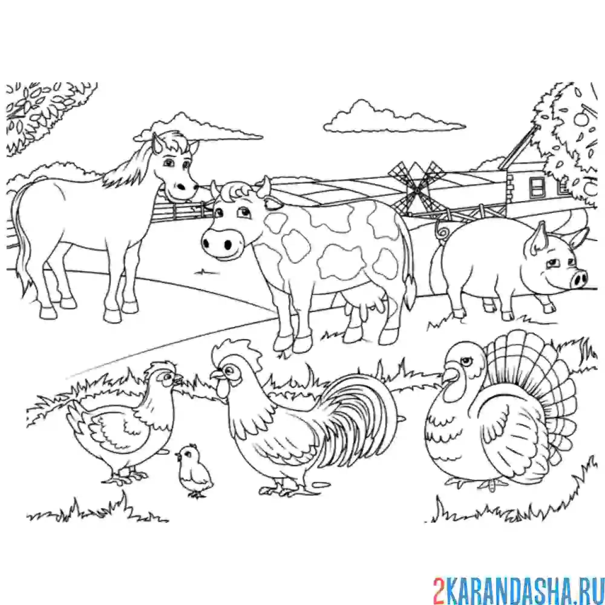 Раскраска ферма животных и петух