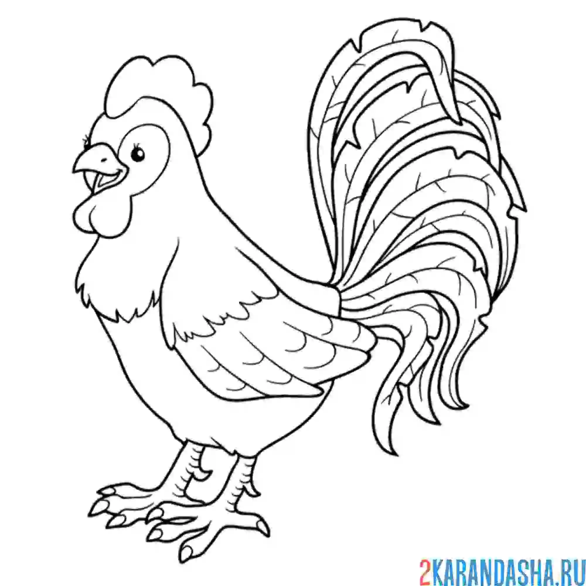 Раскраска петух улыбатеся