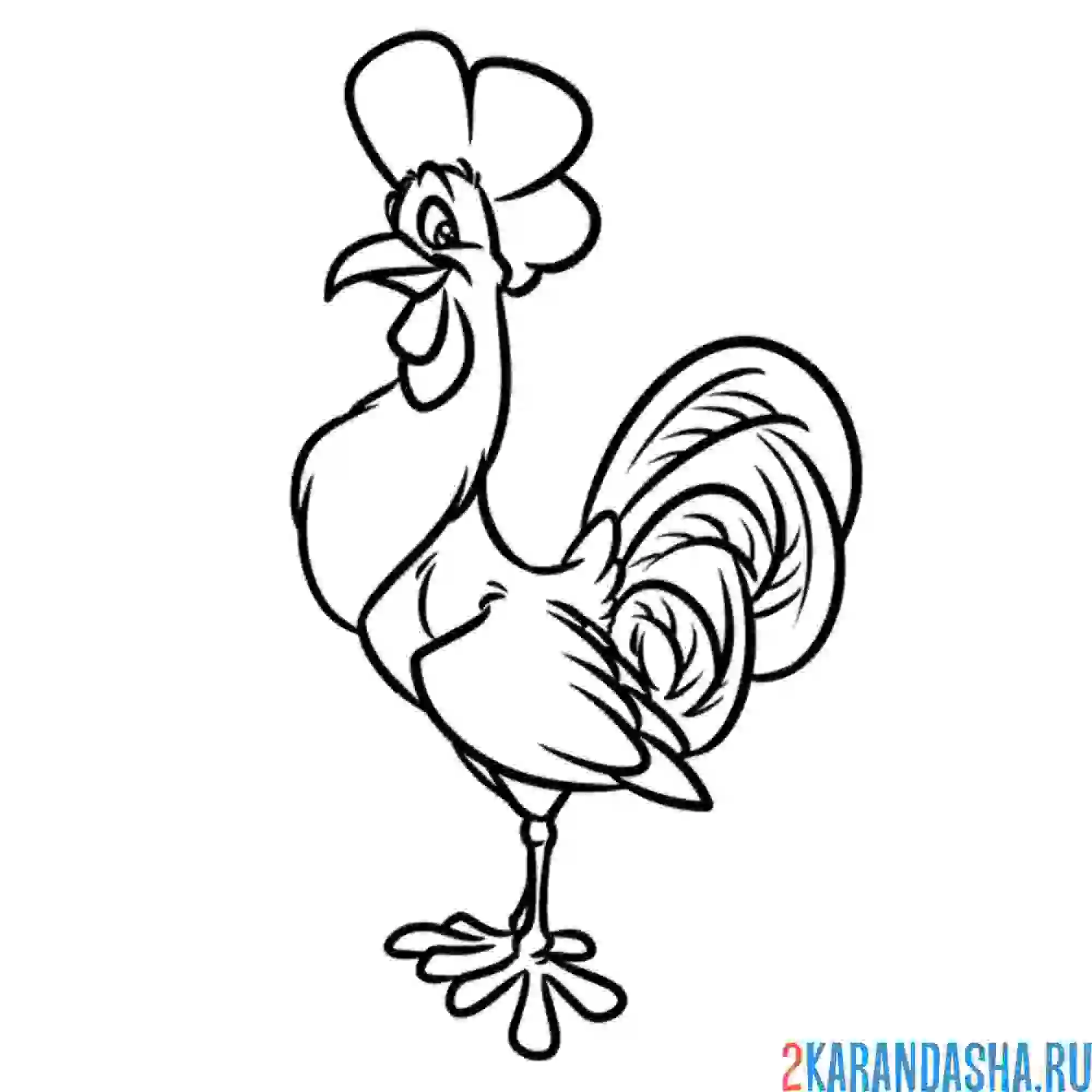 Раскраска смешной петух