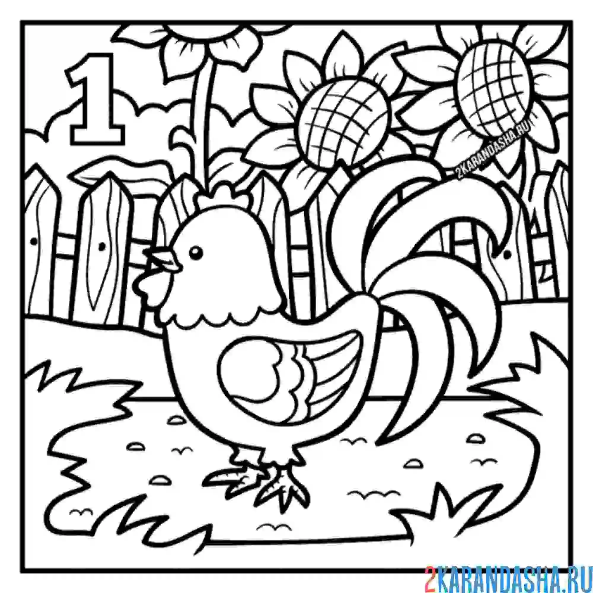 Раскраска петух у подсолнухов