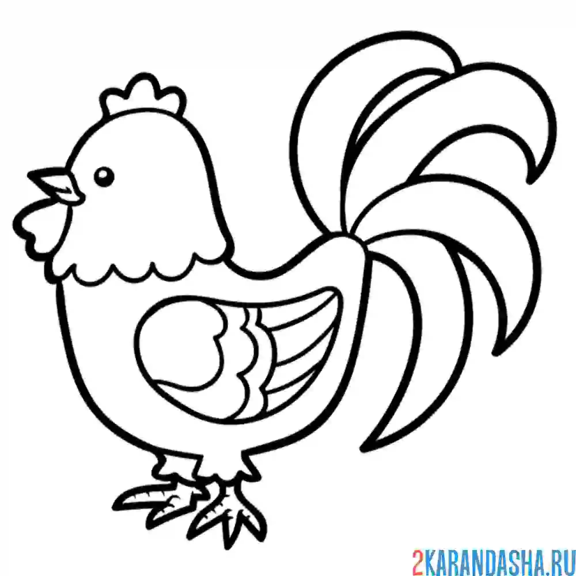 Раскраска рисунок петуха