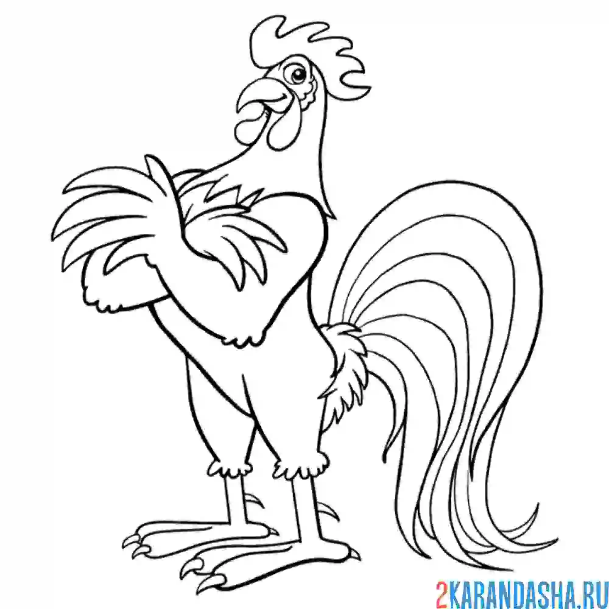 Раскраска петух главный во дворе