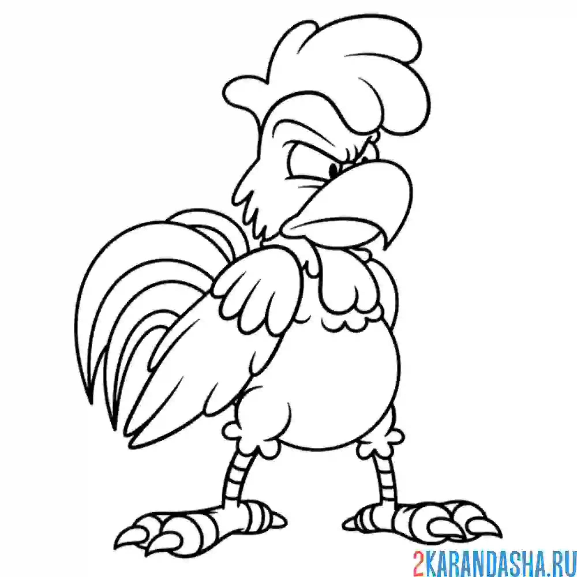 Раскраска злой петух