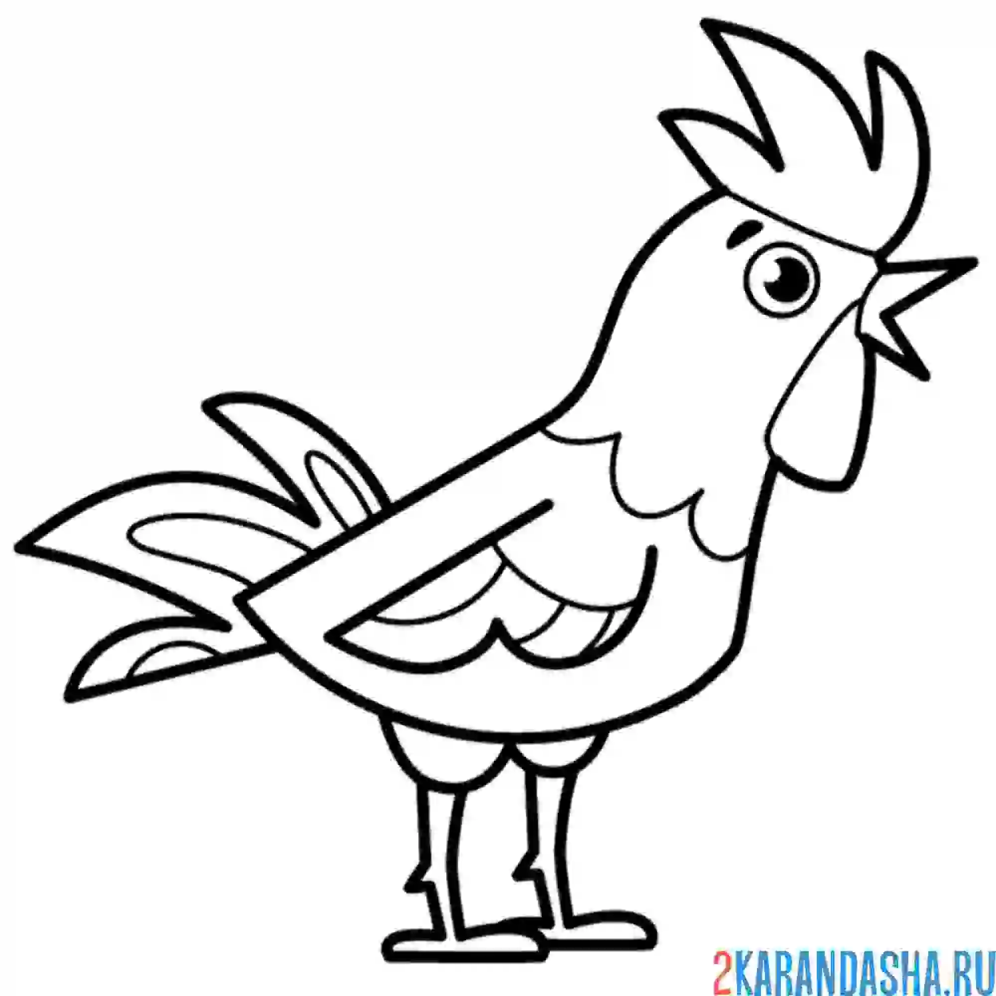 Раскраска петух кричит