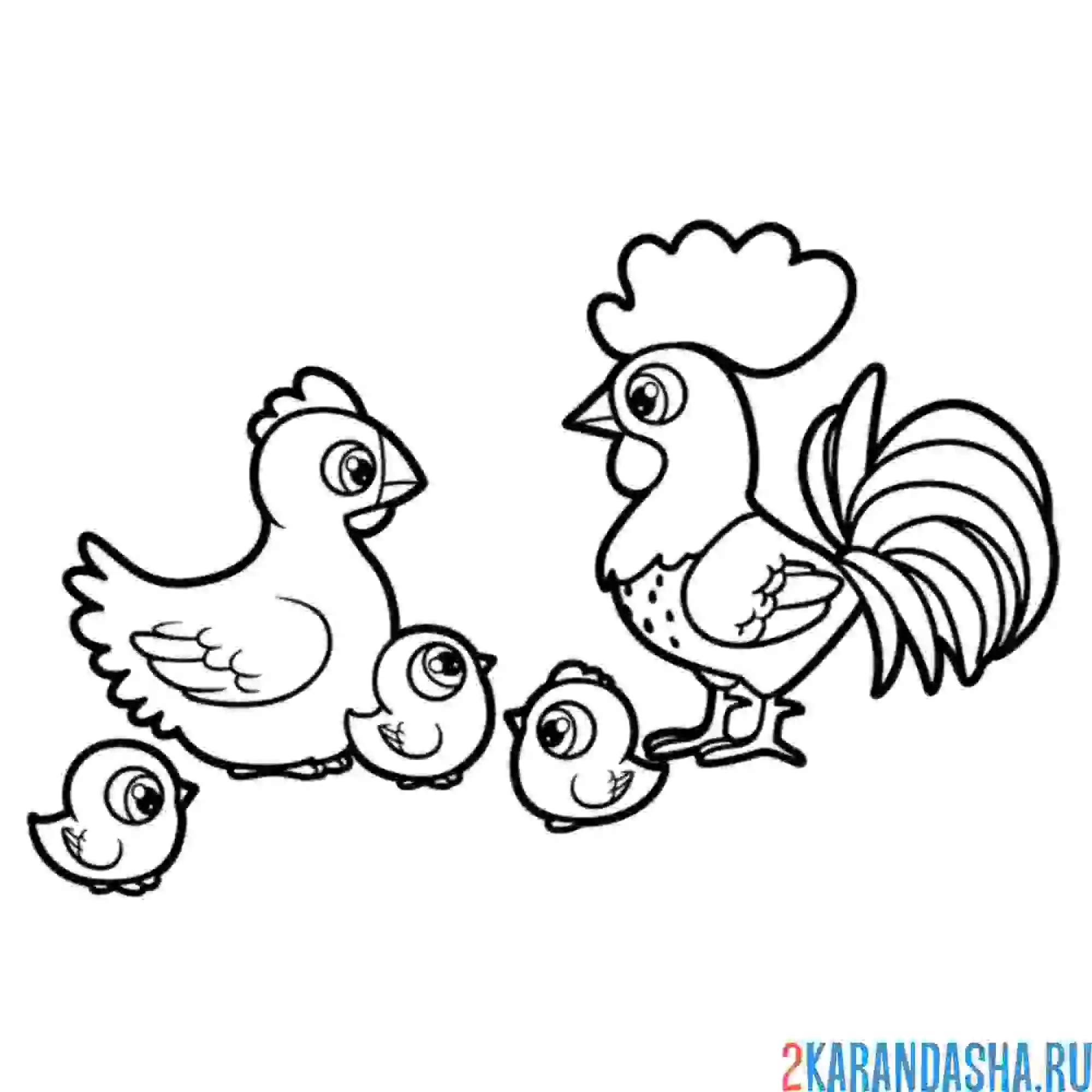 Раскраска петушиная семья