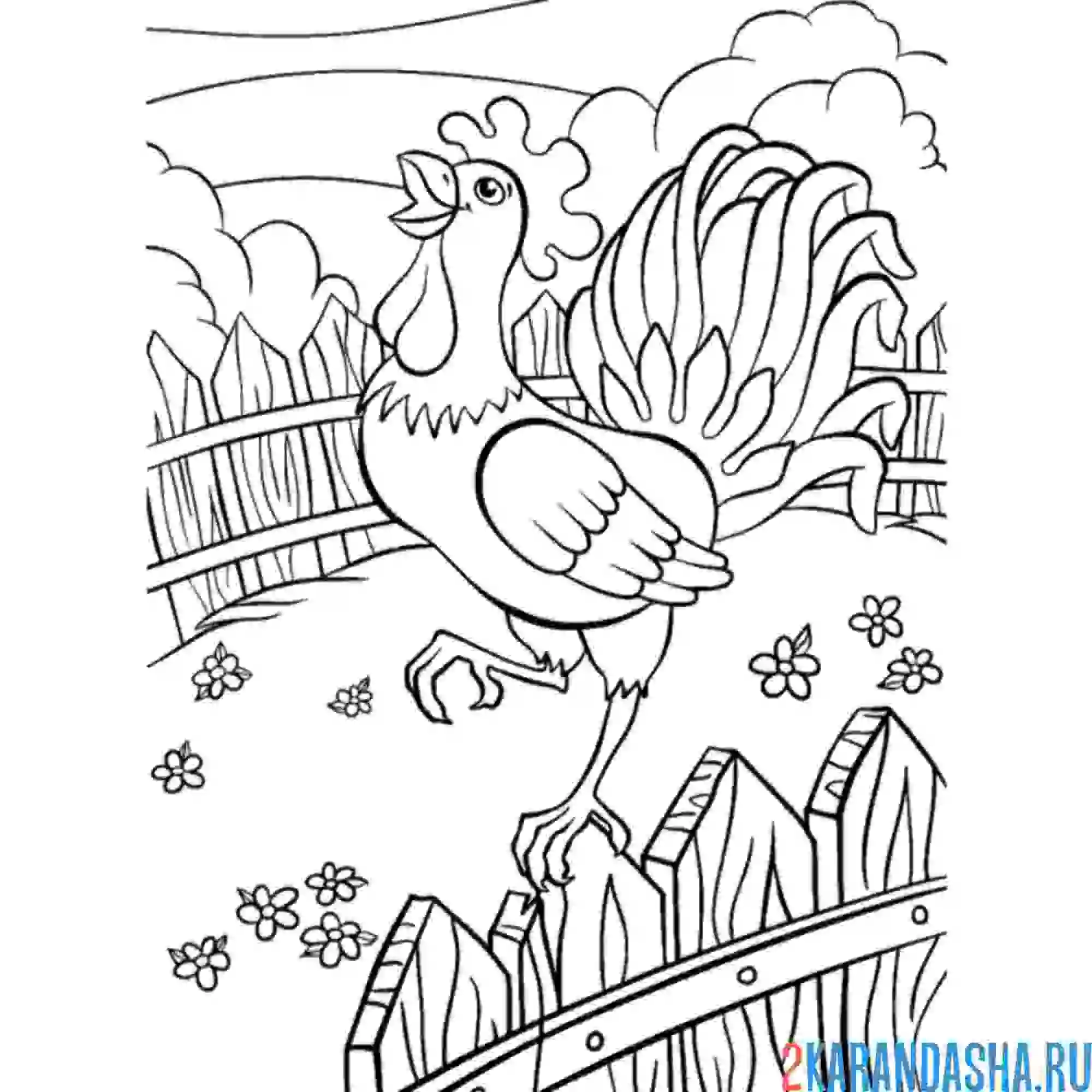 Раскраска на заборе петух