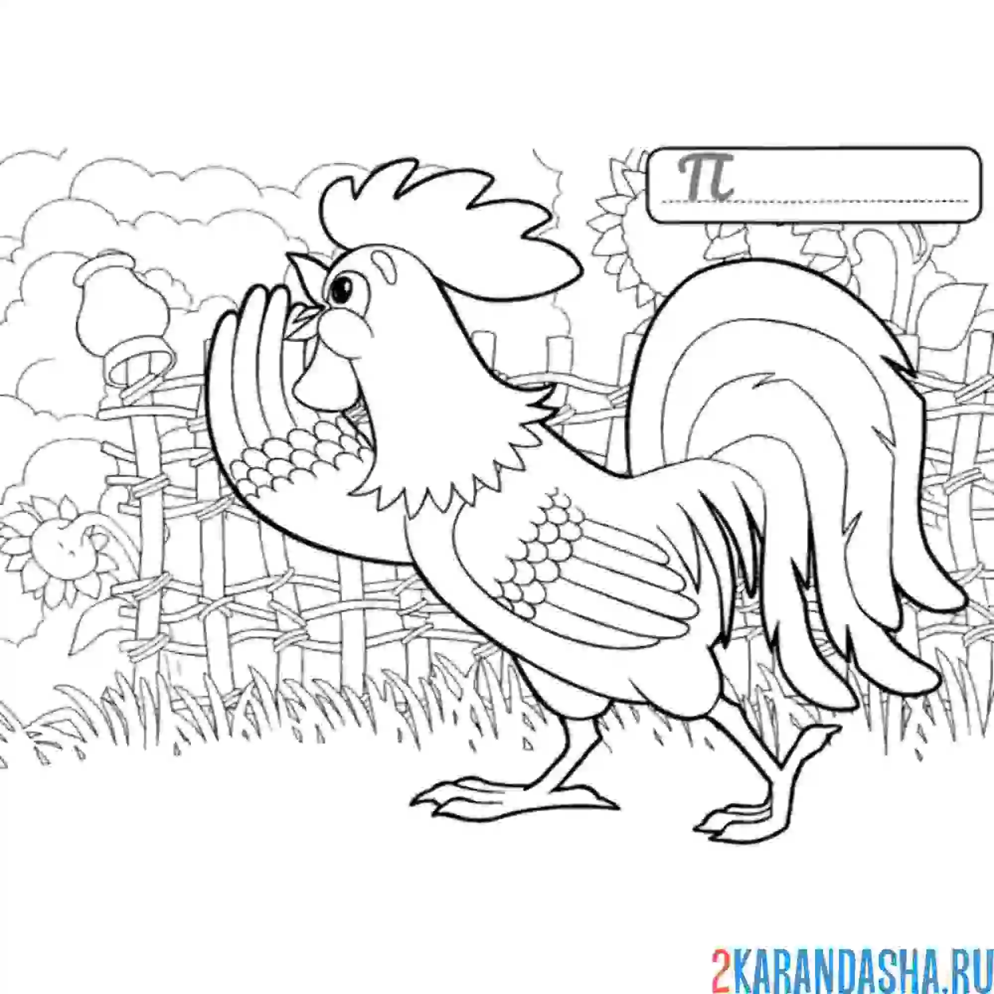 Раскраска петух объявил подъем