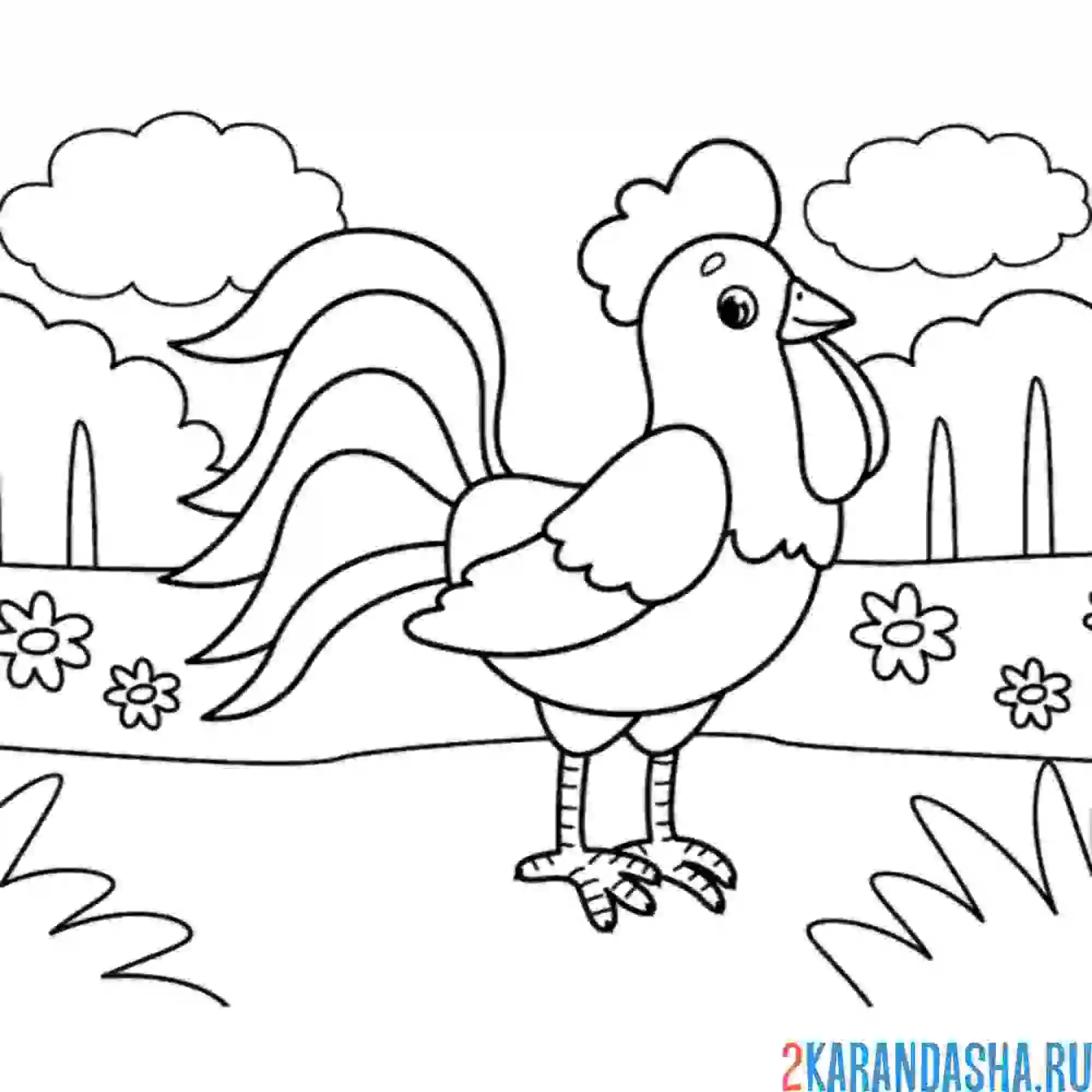 Раскраска во дворе петух