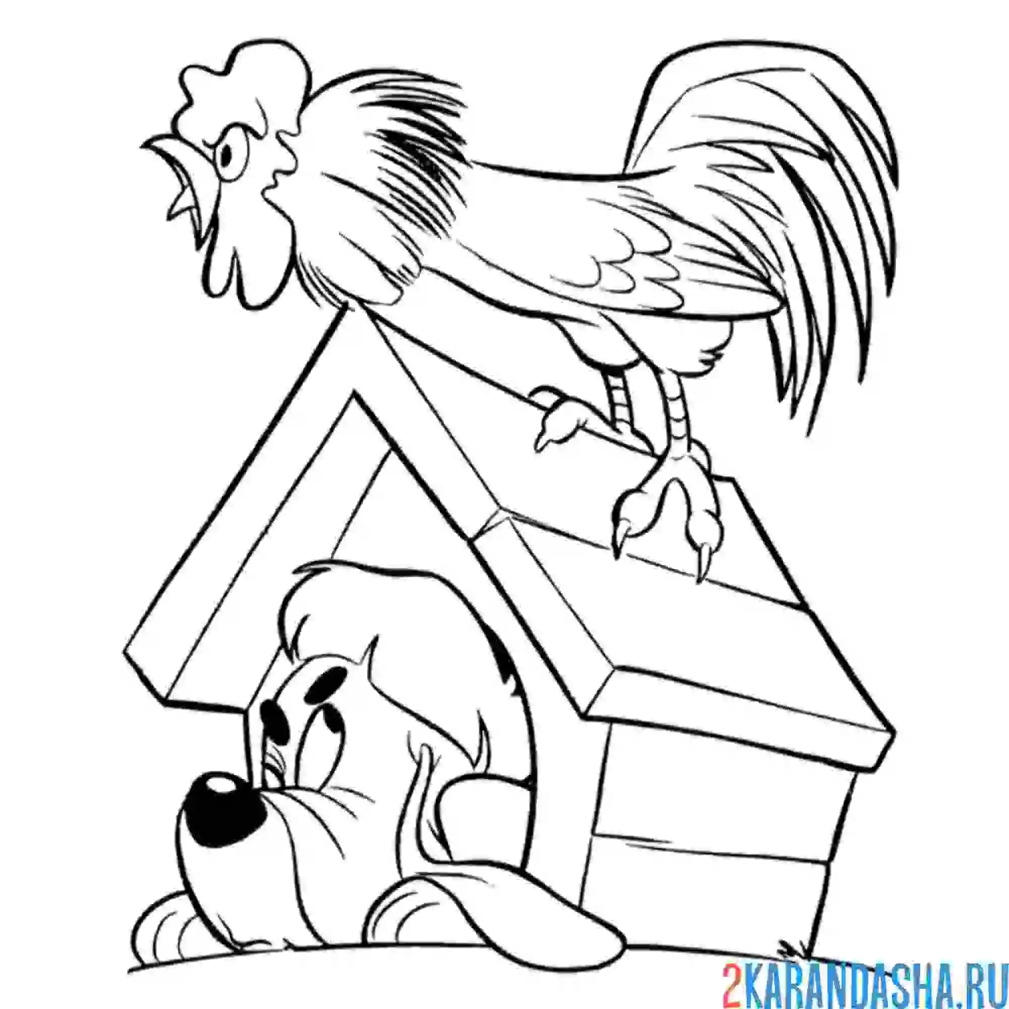 Раскраска петух оглушил собаку