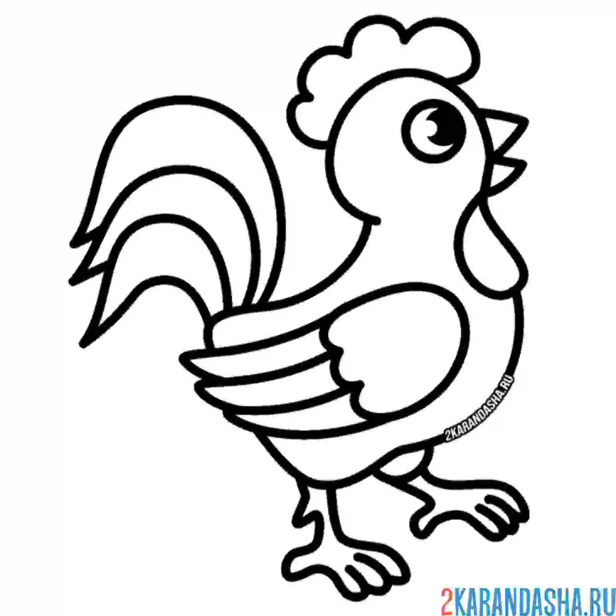 Раскраска простой рисунок петуха