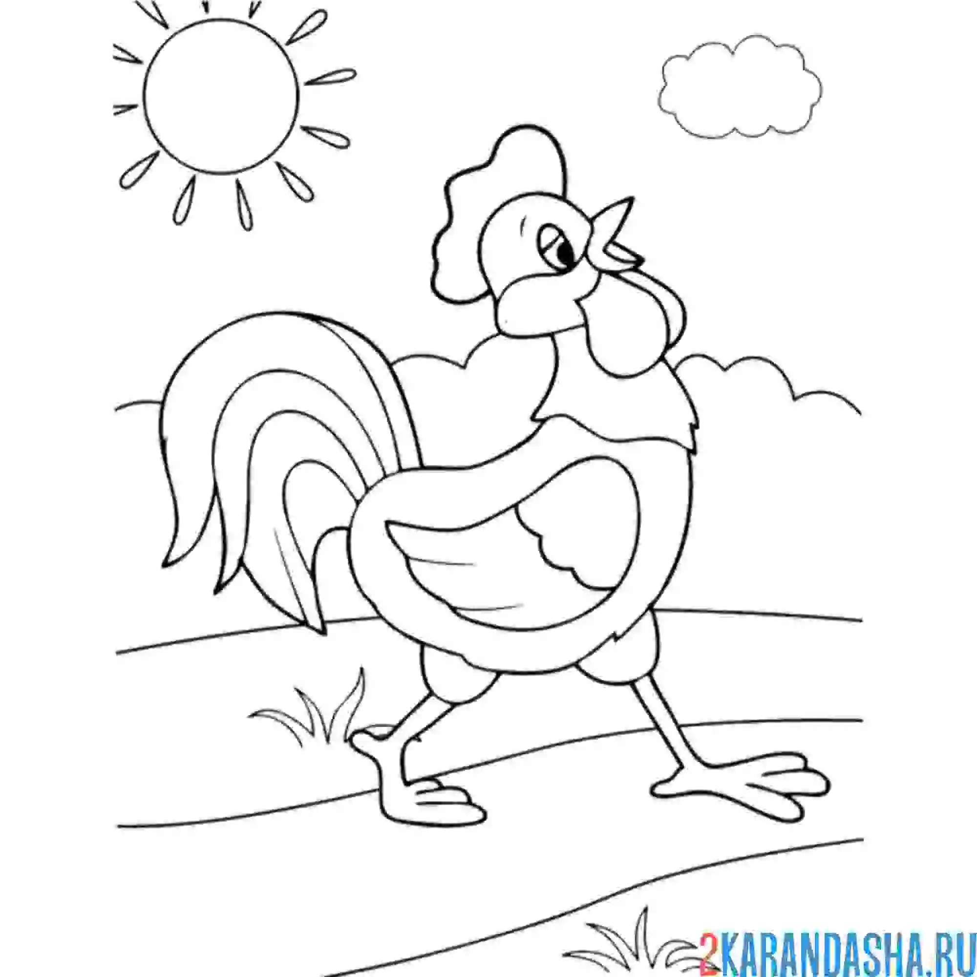 Раскраска петух осматривает владения