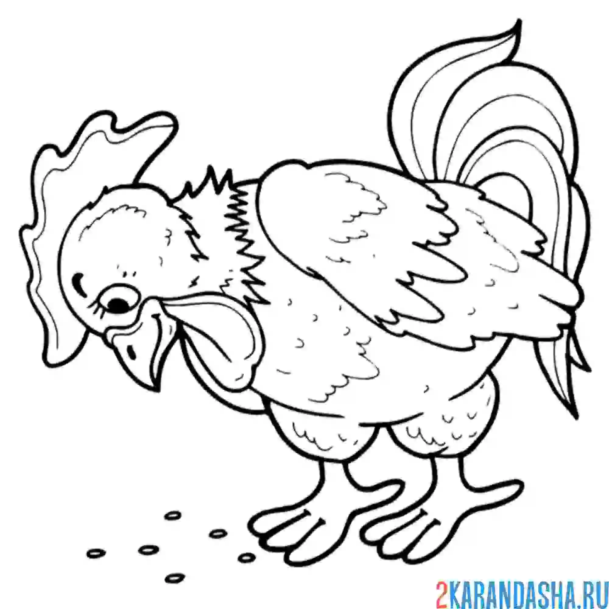 Раскраска петух хочет есть