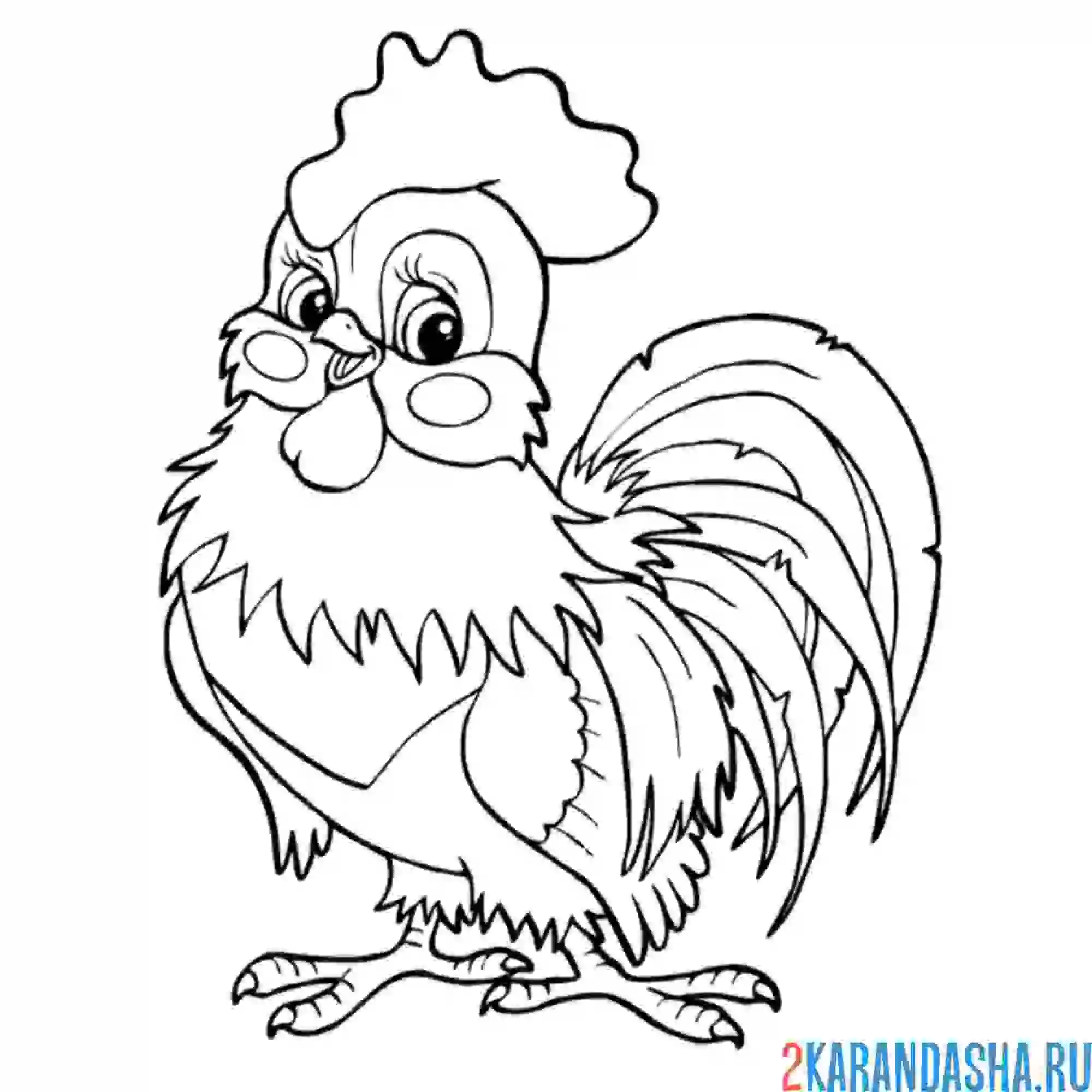 Раскраска очень хороший петух